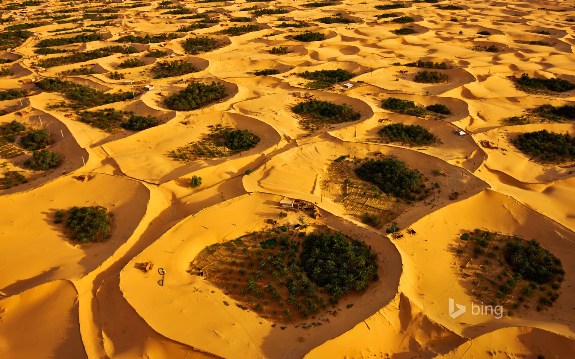 Bing Wallpaper: Adjder oasis near Timimoun, Algeria