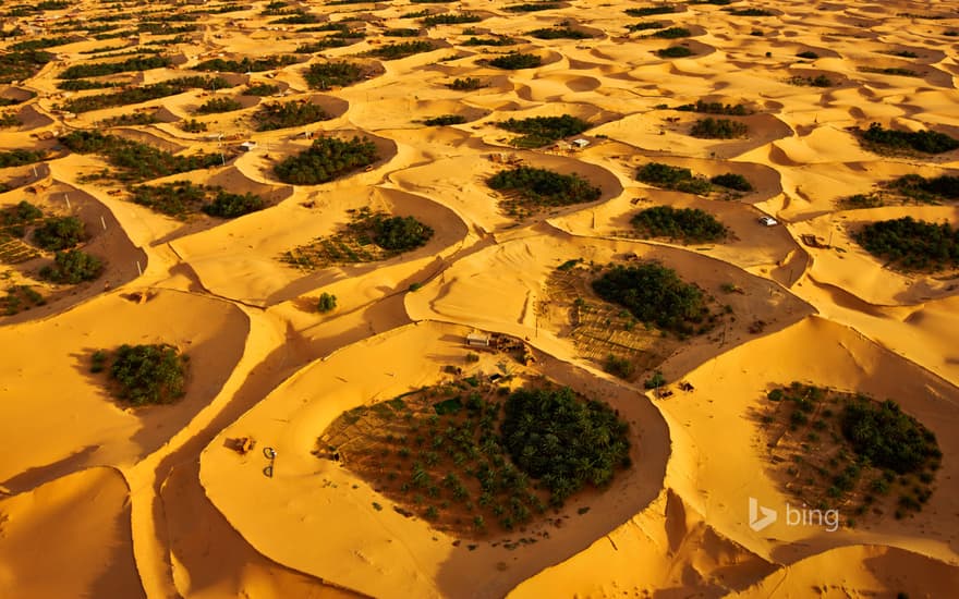Adjder oasis near Timimoun, Algeria