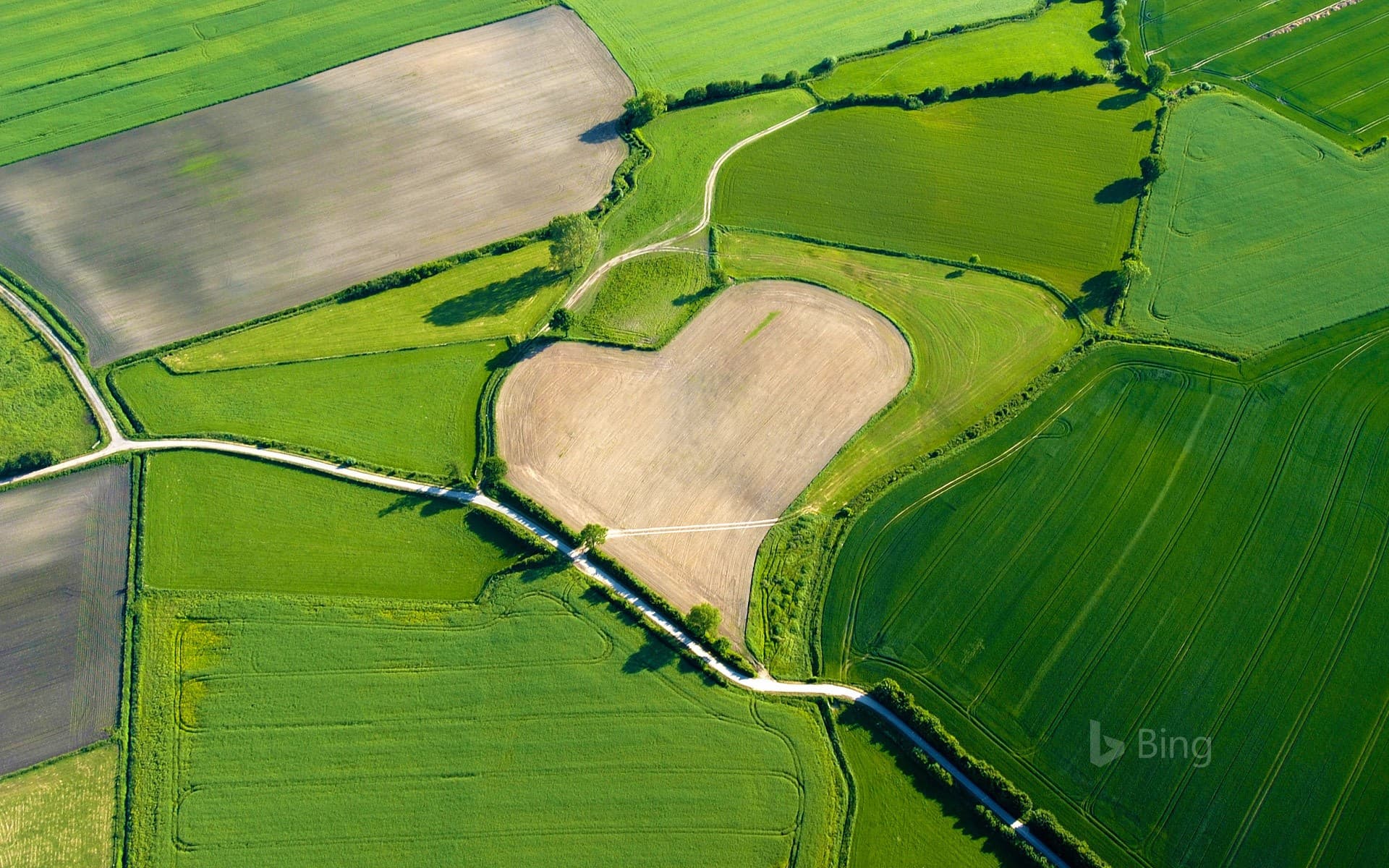 Bing Wallpaper: Aerial view of a heart-shaped field in Trittau, Germany