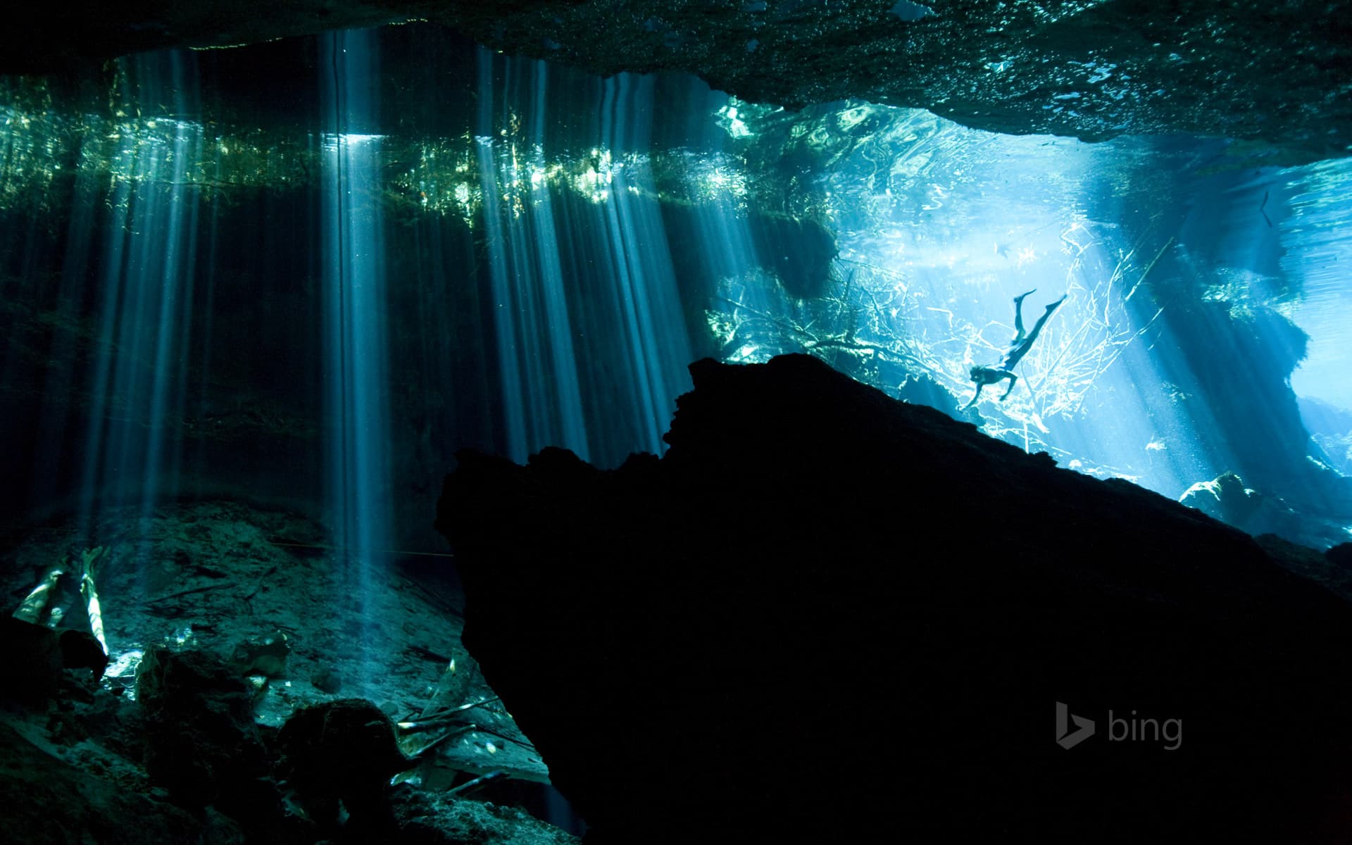 Bing Wallpaper: Diver in a cenote near Akumal, Mexico