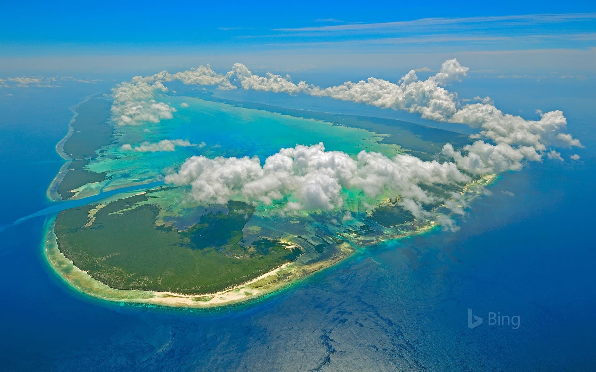 Bing Wallpaper: Aldabra of the Seychelles in the Indian Ocean