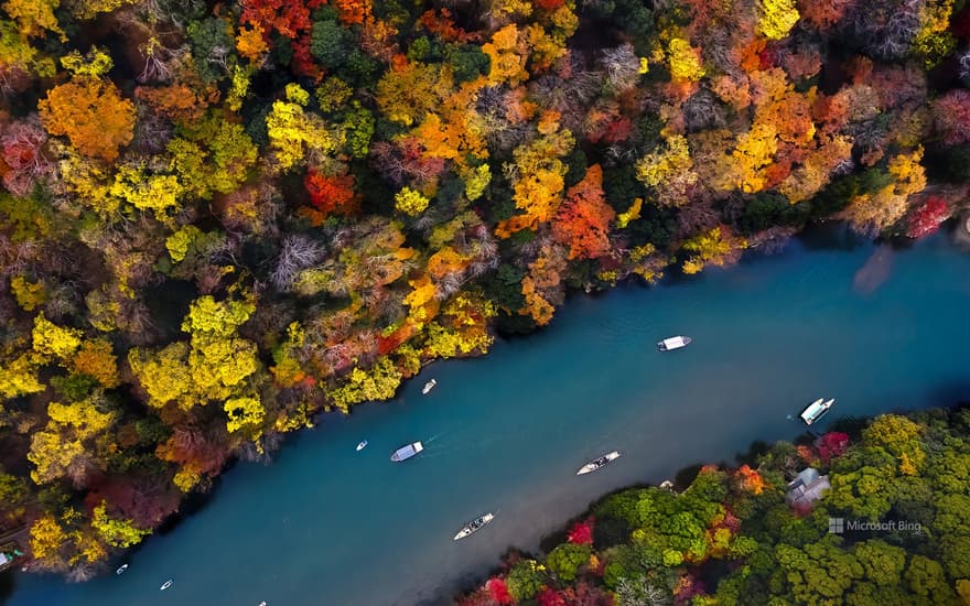 Autumn leaves of the Oigawa River, Arashiyama, Kyoto