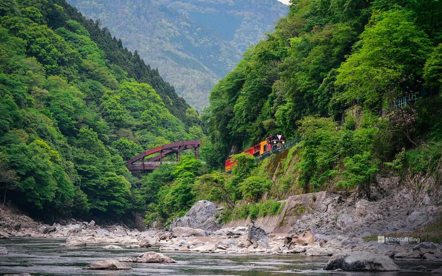 A trolley train running along the Hozu River, Kyoto