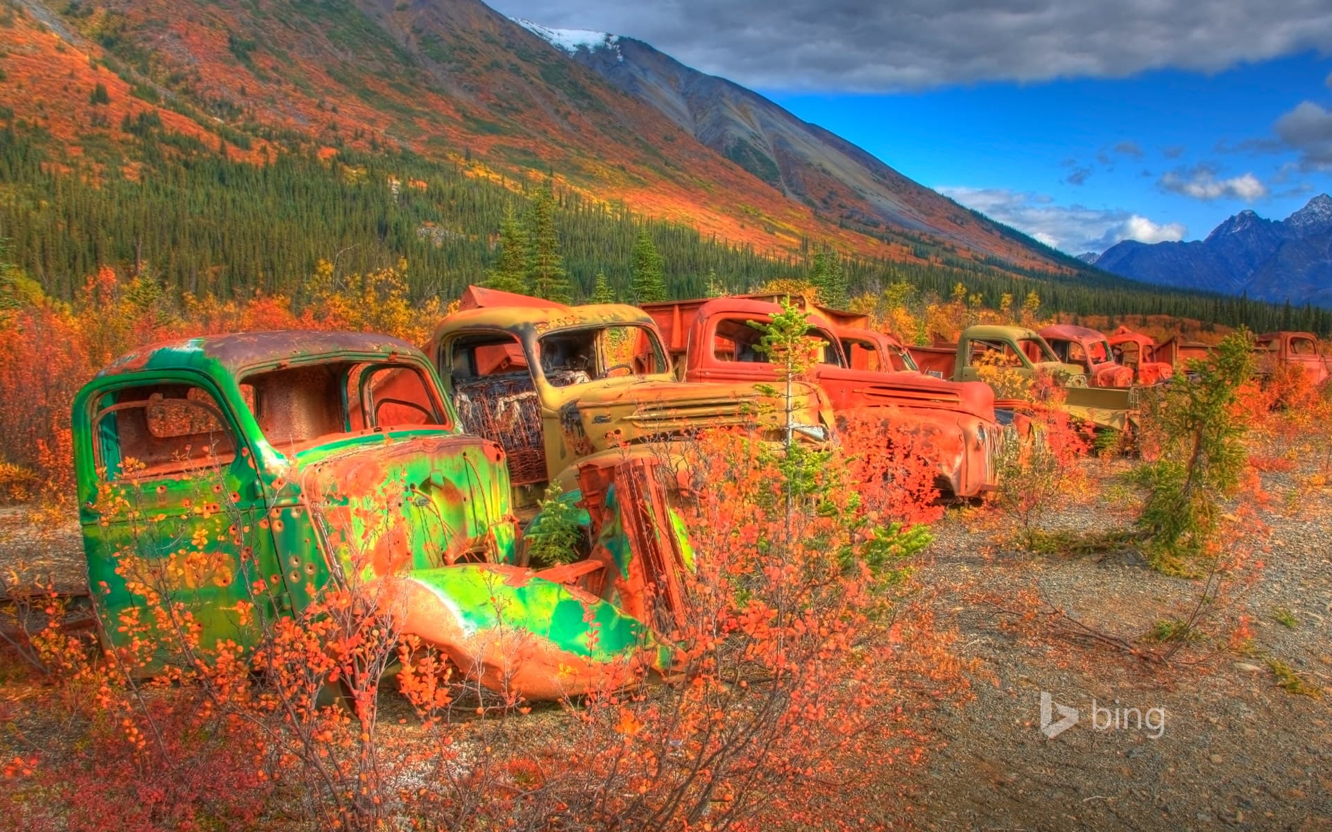 Bing Wallpaper: Abandoned army trucks on the North Canol Road, Yukon, Canada