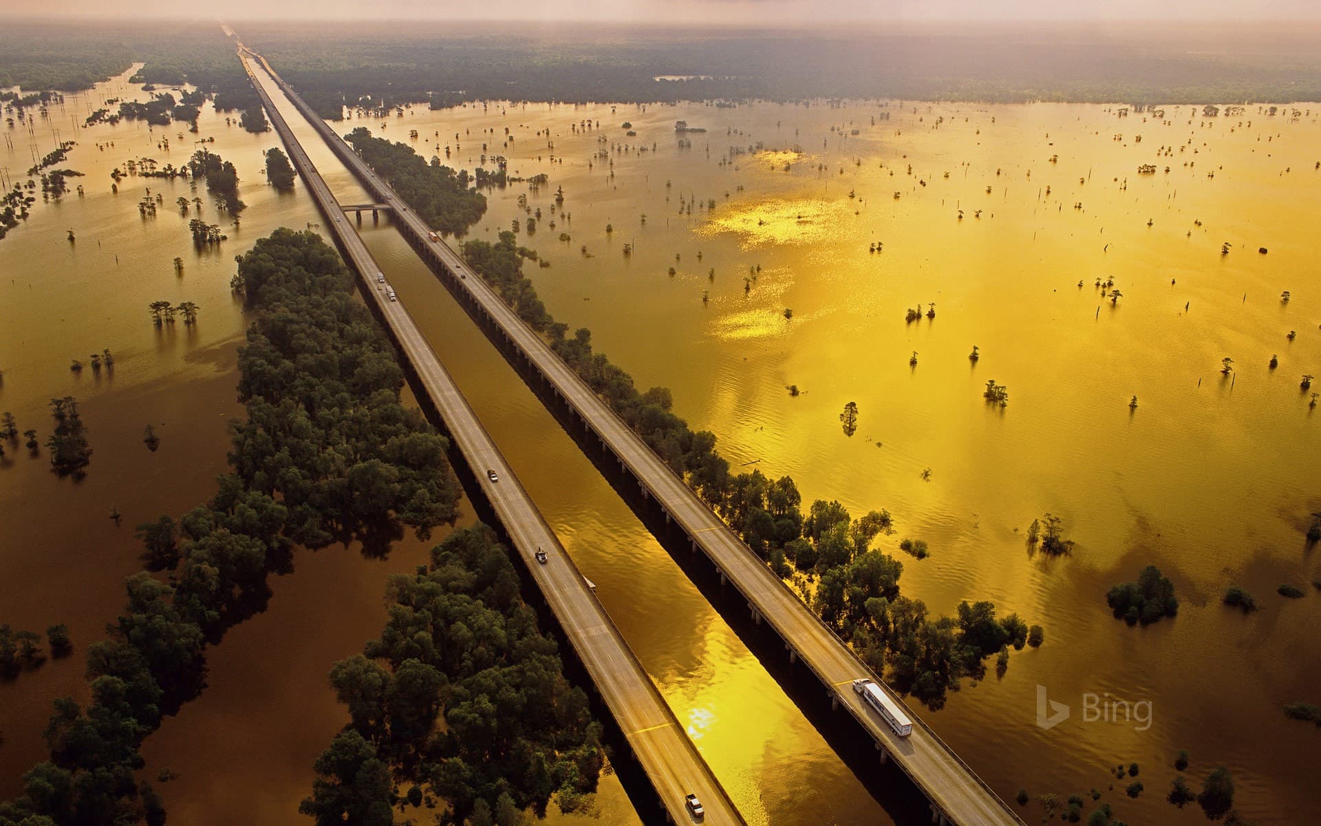 Bing Wallpaper: Atchafalaya Basin, Louisiana