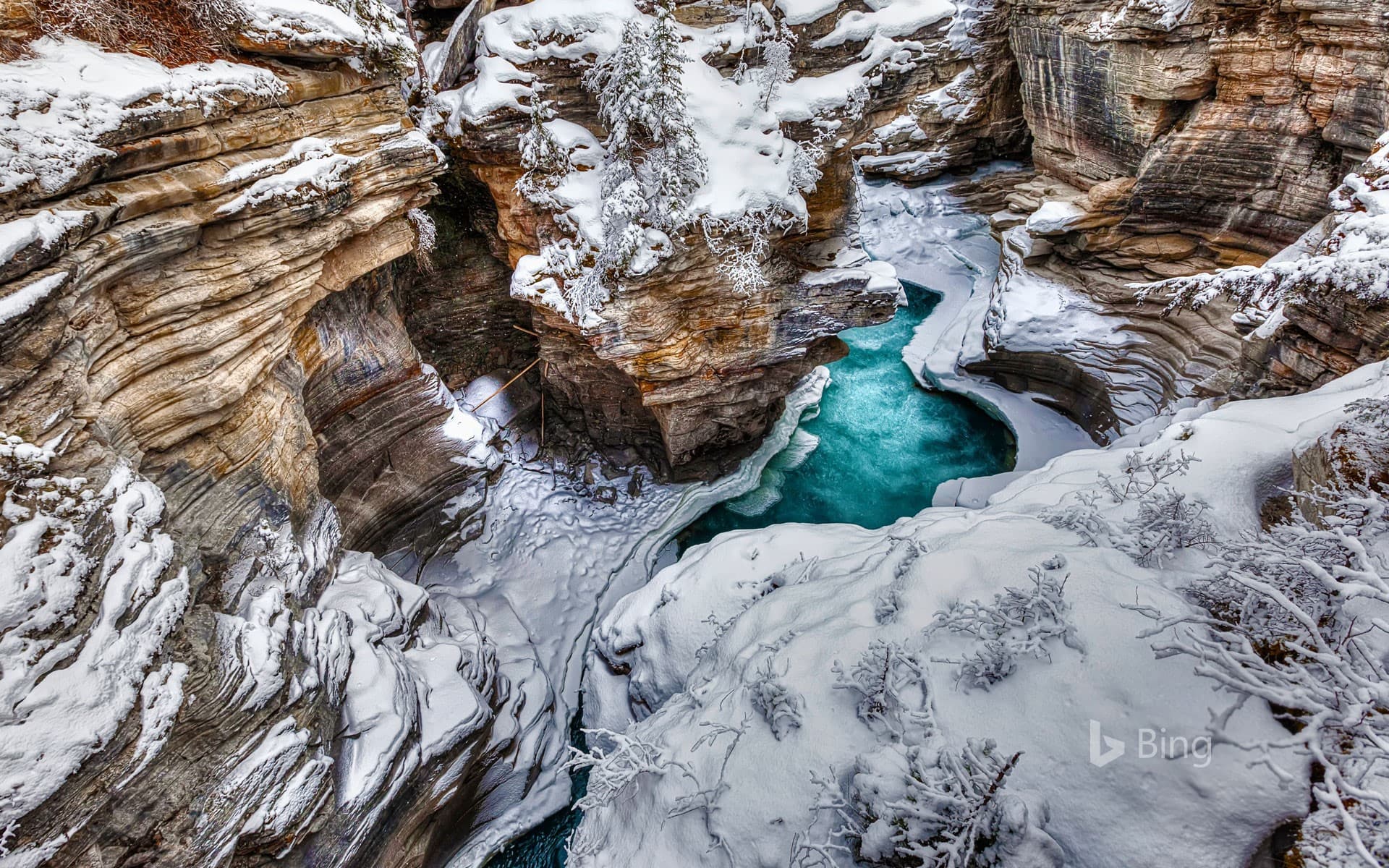 Bing Wallpaper: The Athabasca River in Jasper National Park in Alberta, Canada