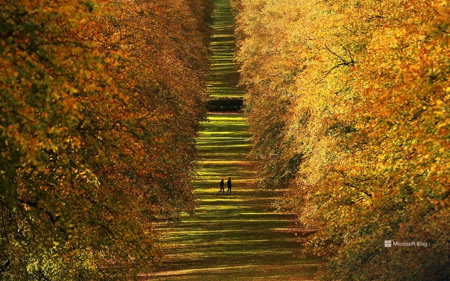 Stormont Estate, Northern Ireland