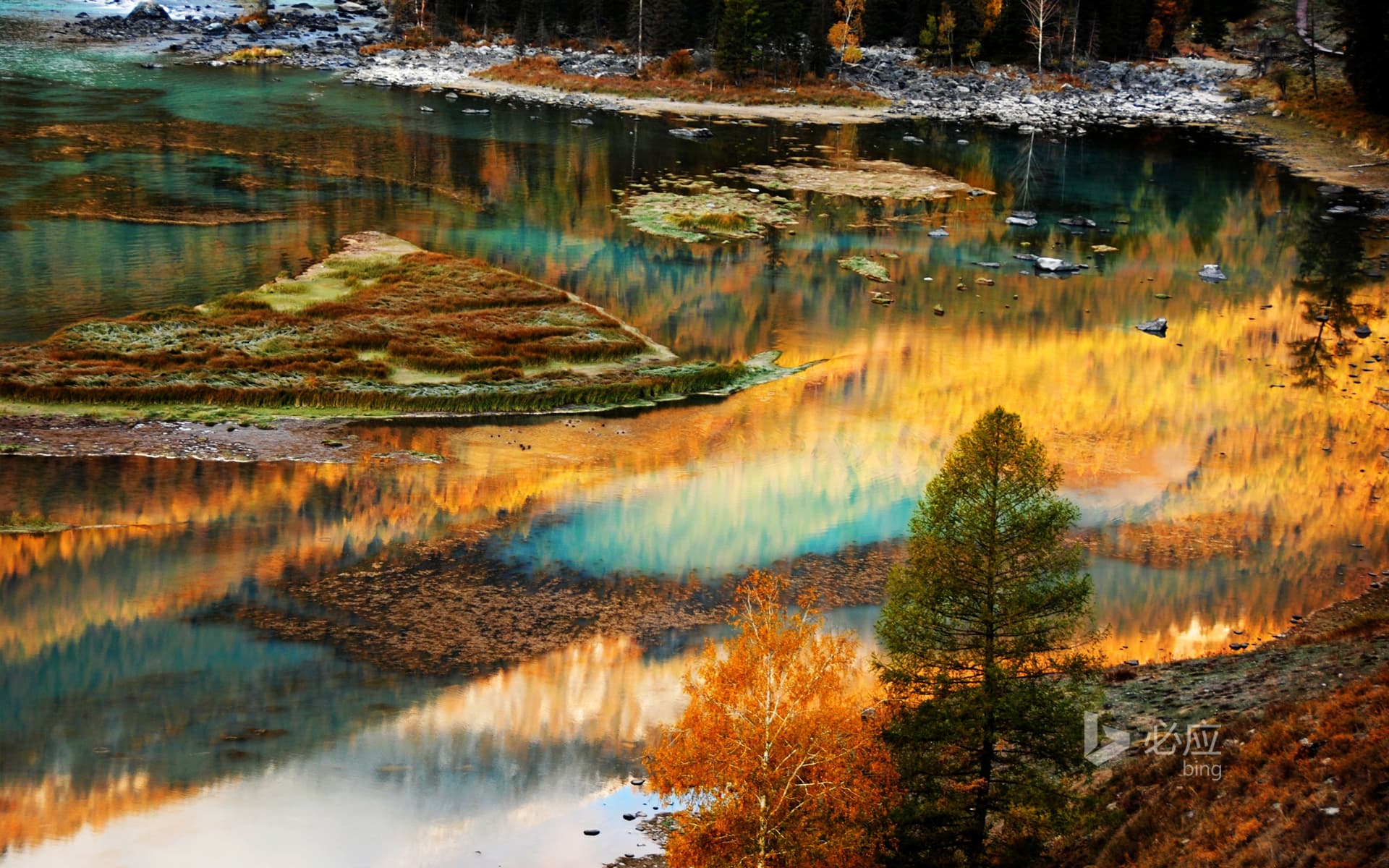 Bing Wallpaper: Reflection of colorful trees on lake in autumn day