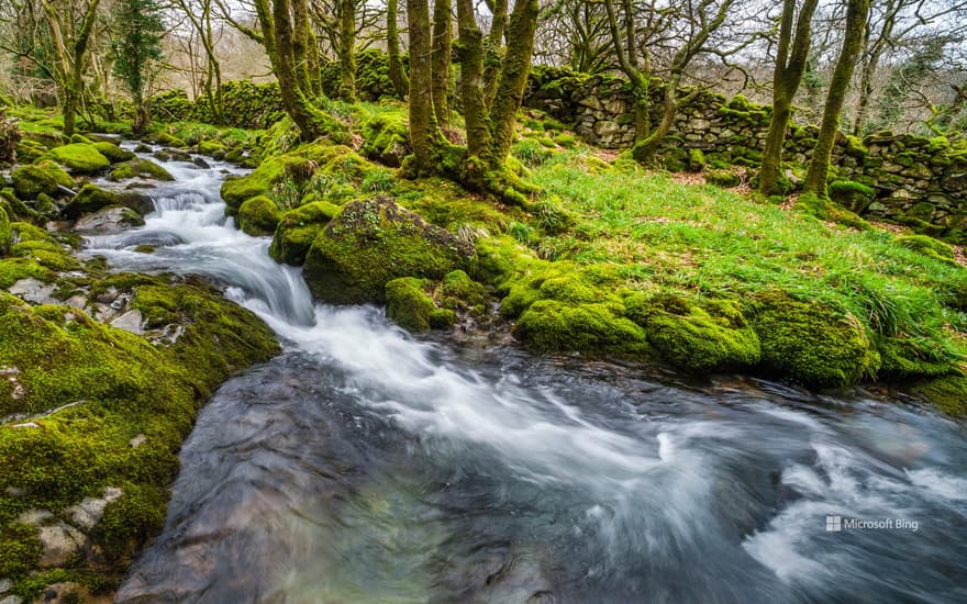 River in the Croesor Valley, Snowdonia National Park, Gwynedd.