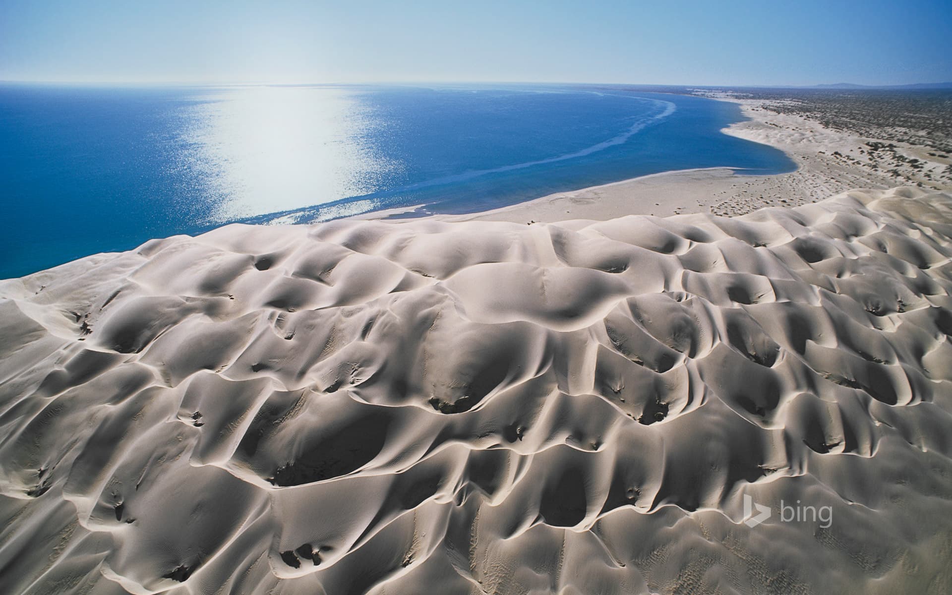 Bing Wallpaper: Barchan dunes along the Pacific coast, Guerrero Negro, Mexico