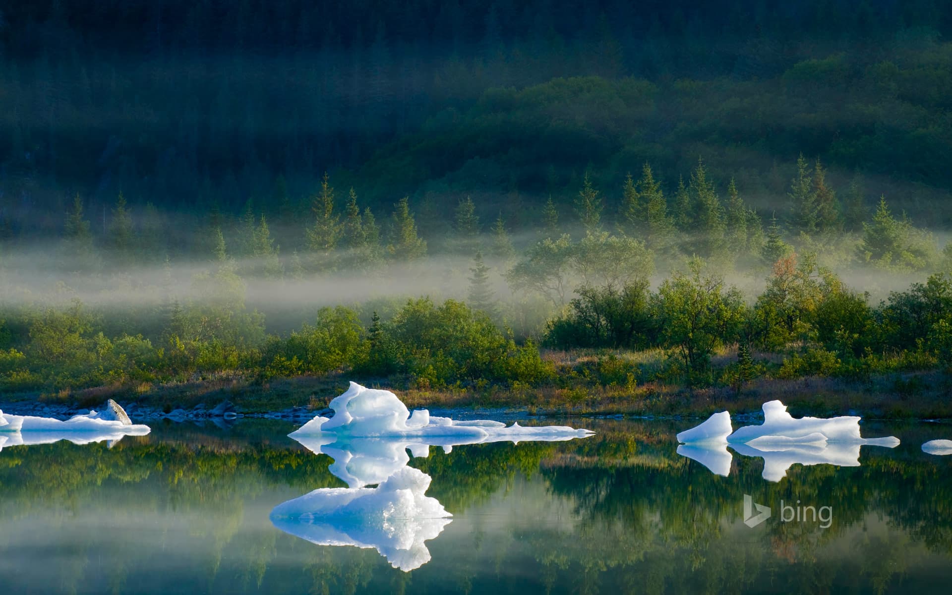 Bing Wallpaper: Bear Glacier Lake in Kenai Fjords National Park, Alaska