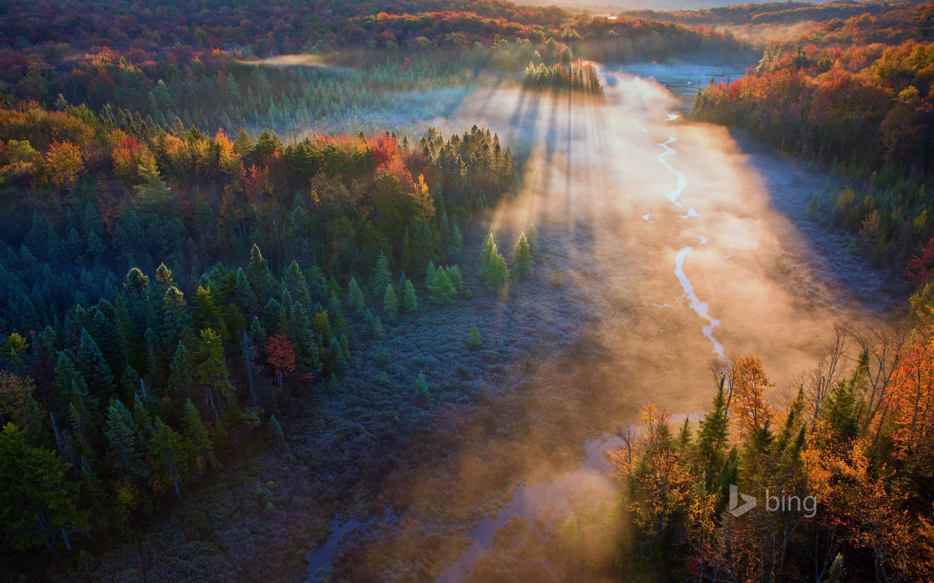 Bing Wallpaper: Beaver Meadow in Green Mountain National Forest, Vermont