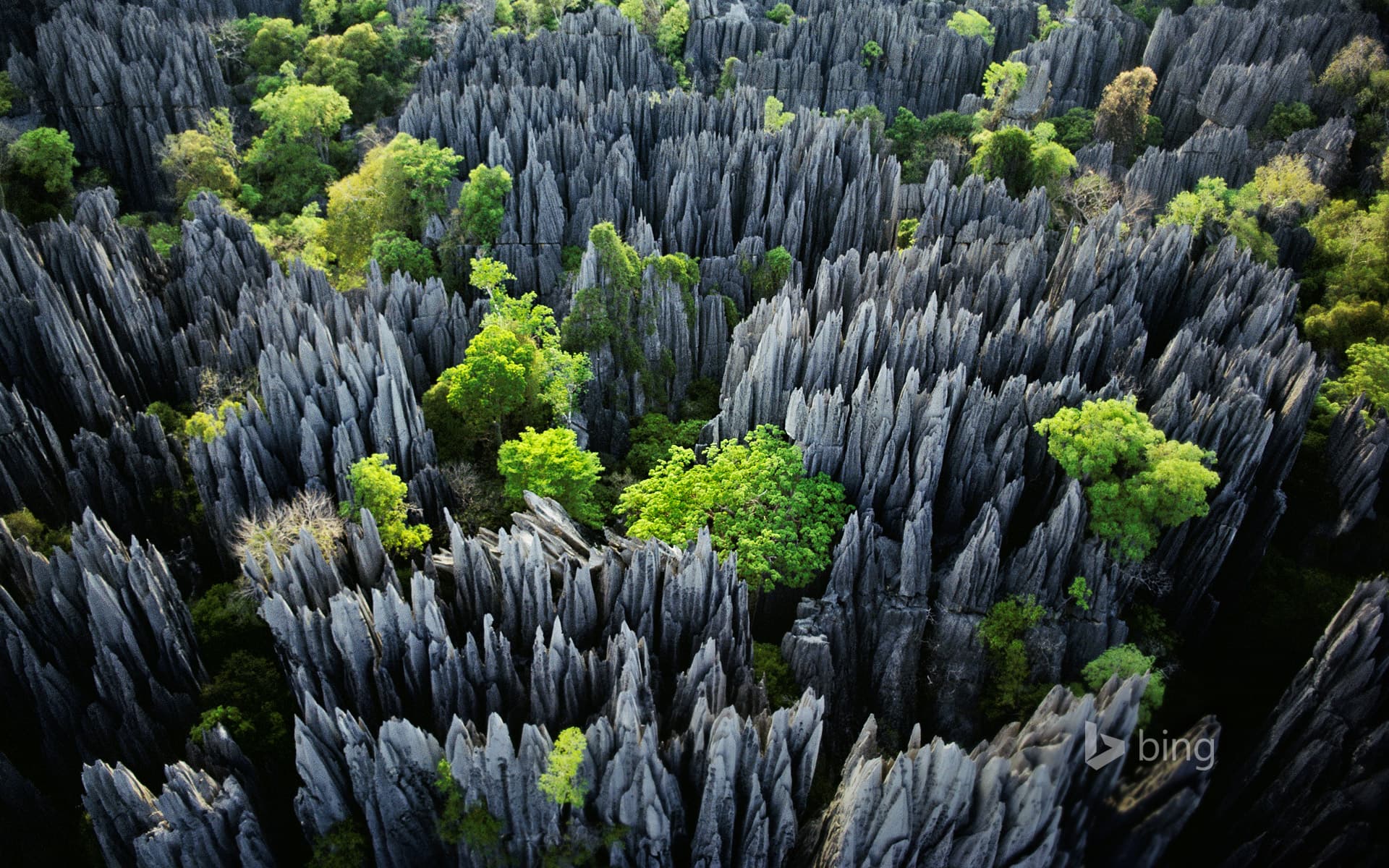 Bing Wallpaper: Tsingy de Bemaraha National Park, Madagascar
