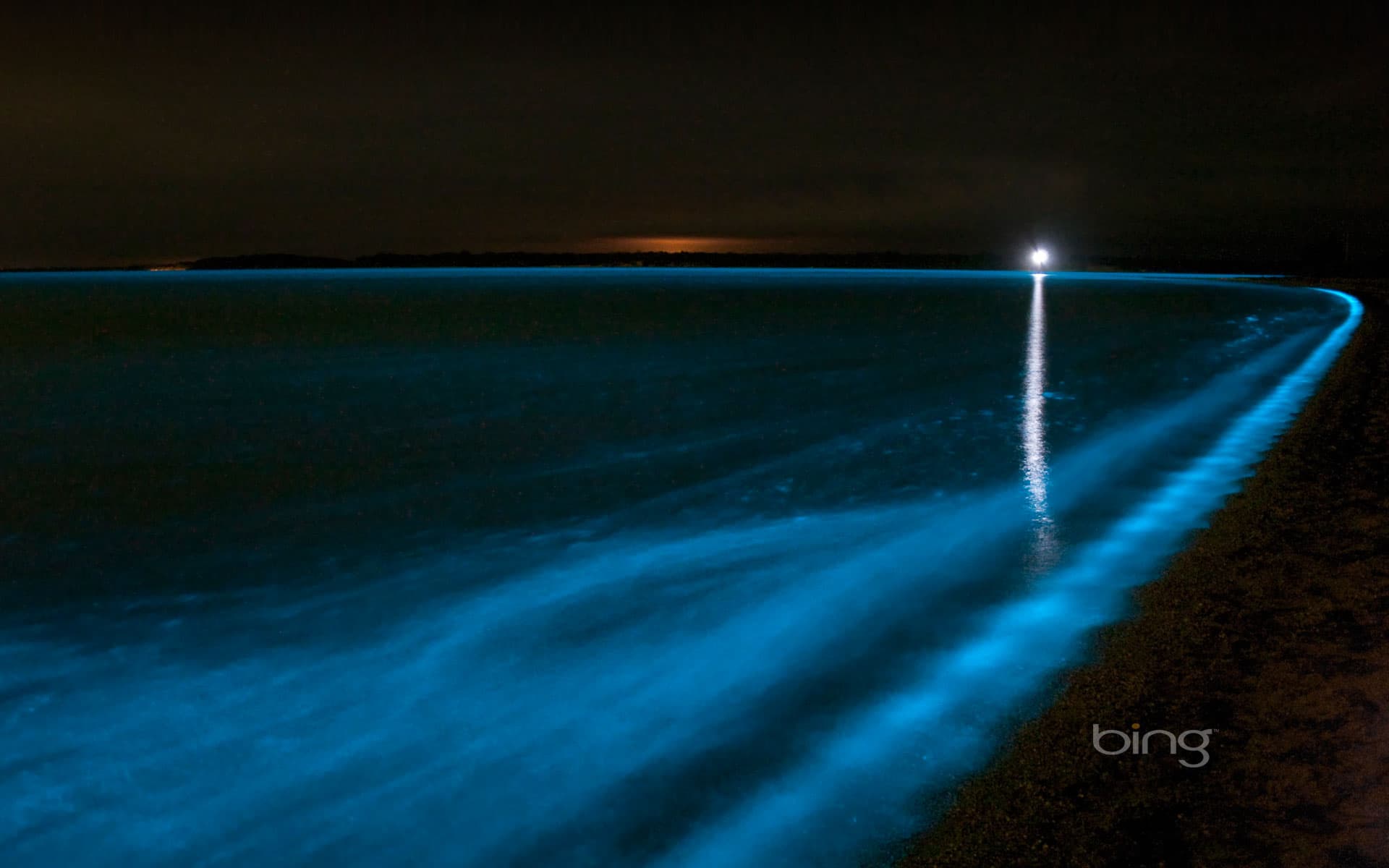 Bing Wallpaper: Bioluminescence in the Gippsland Lakes, Victoria, Australia