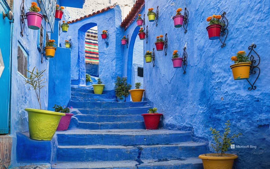 Bing Wallpaper: Blue walls of Chefchaouen, Morocco