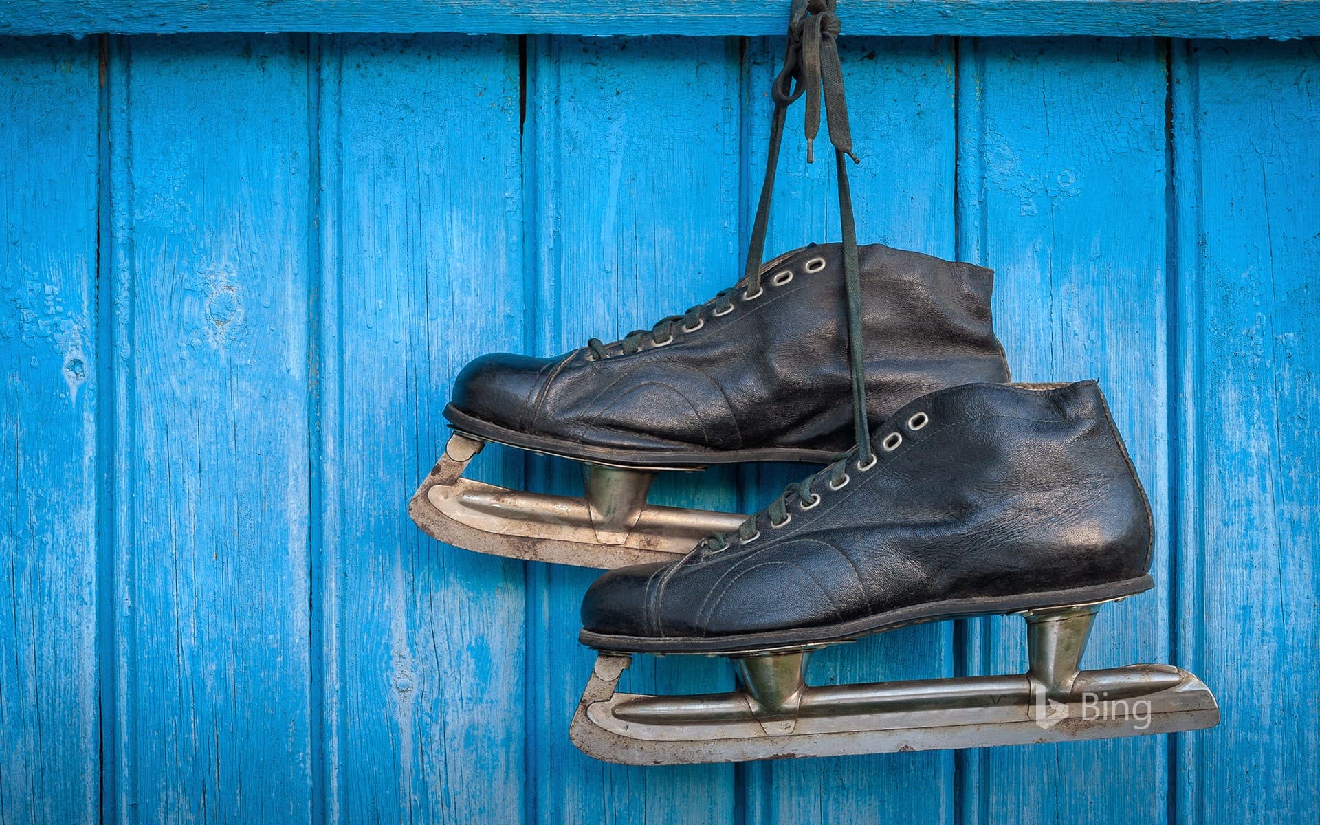 Bing Wallpaper: Old hockey skates hanging on a wall