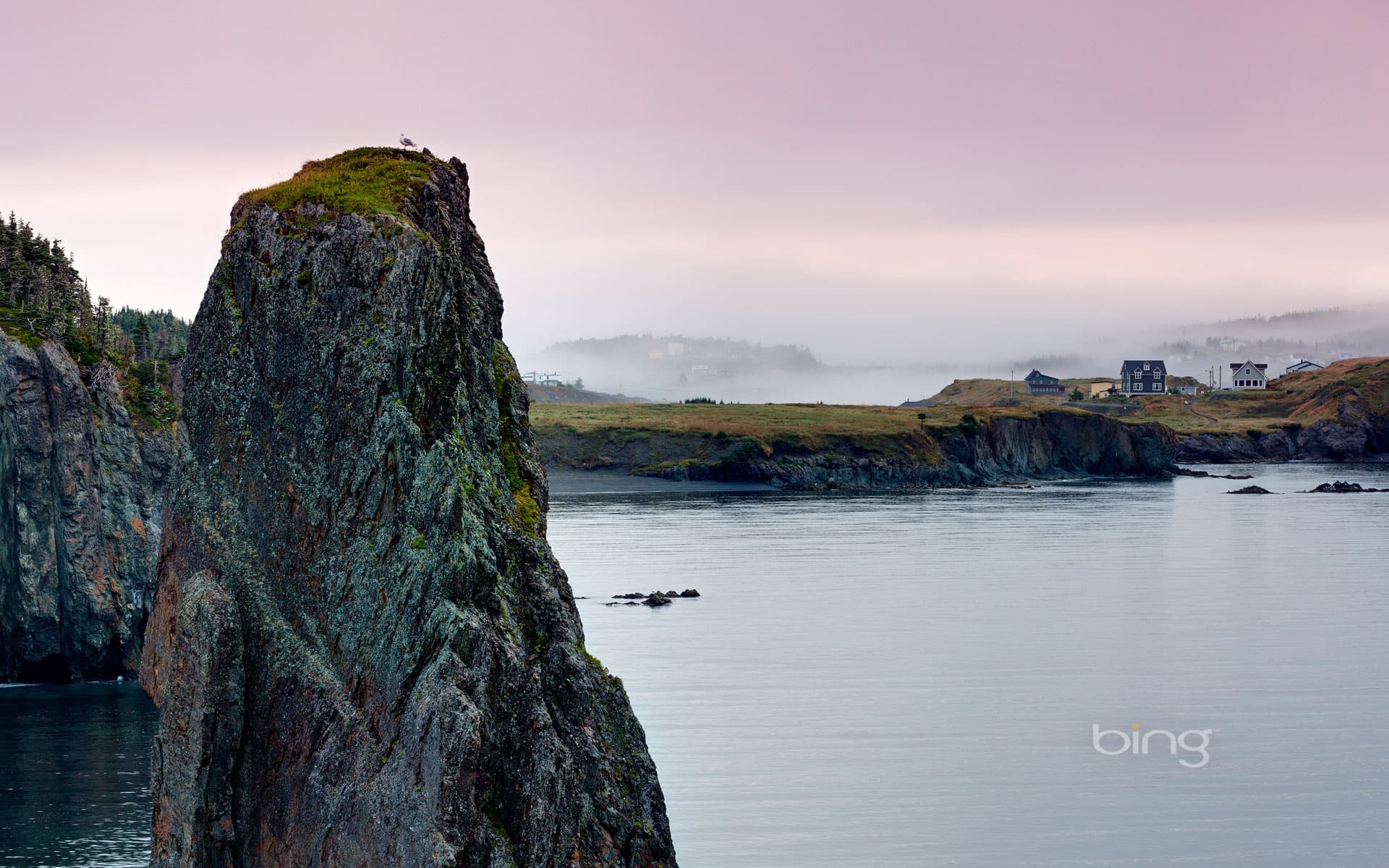 Bing Wallpaper: Skerwink Trail, Bonavista Peninsula, Newfoundland Island, Canada