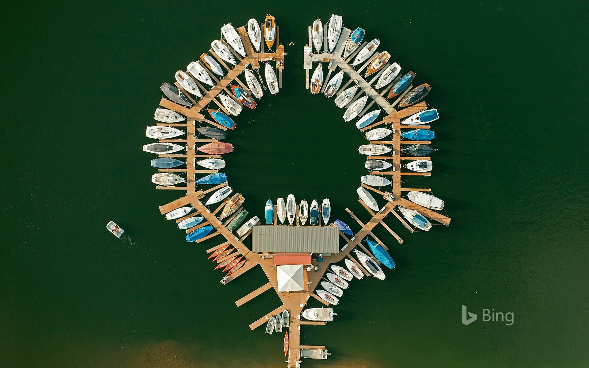 Bing Wallpaper: Boats moored on Rurstausee (Rur Lake), Eifel National Park, North Rhine-Westphalia, Germany