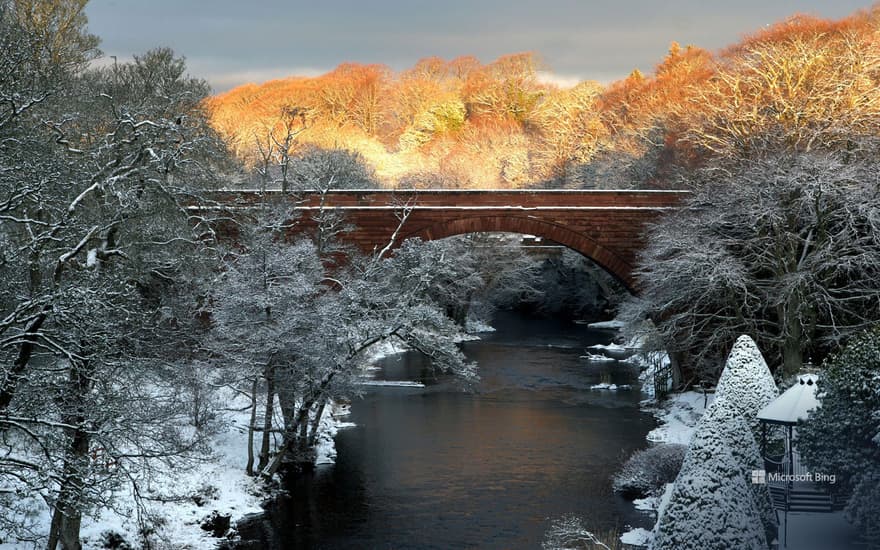 Bing Wallpaper: Burns National Heritage Park, Ayr, Ayrshire, Scotland