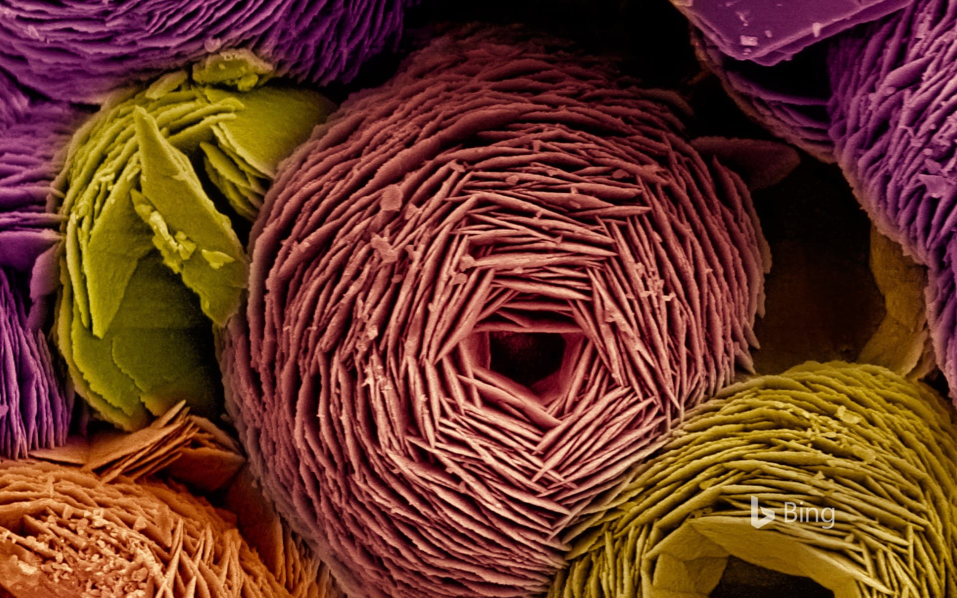 Bing Wallpaper: Scanning electron microscope (SEM) image of vaterite