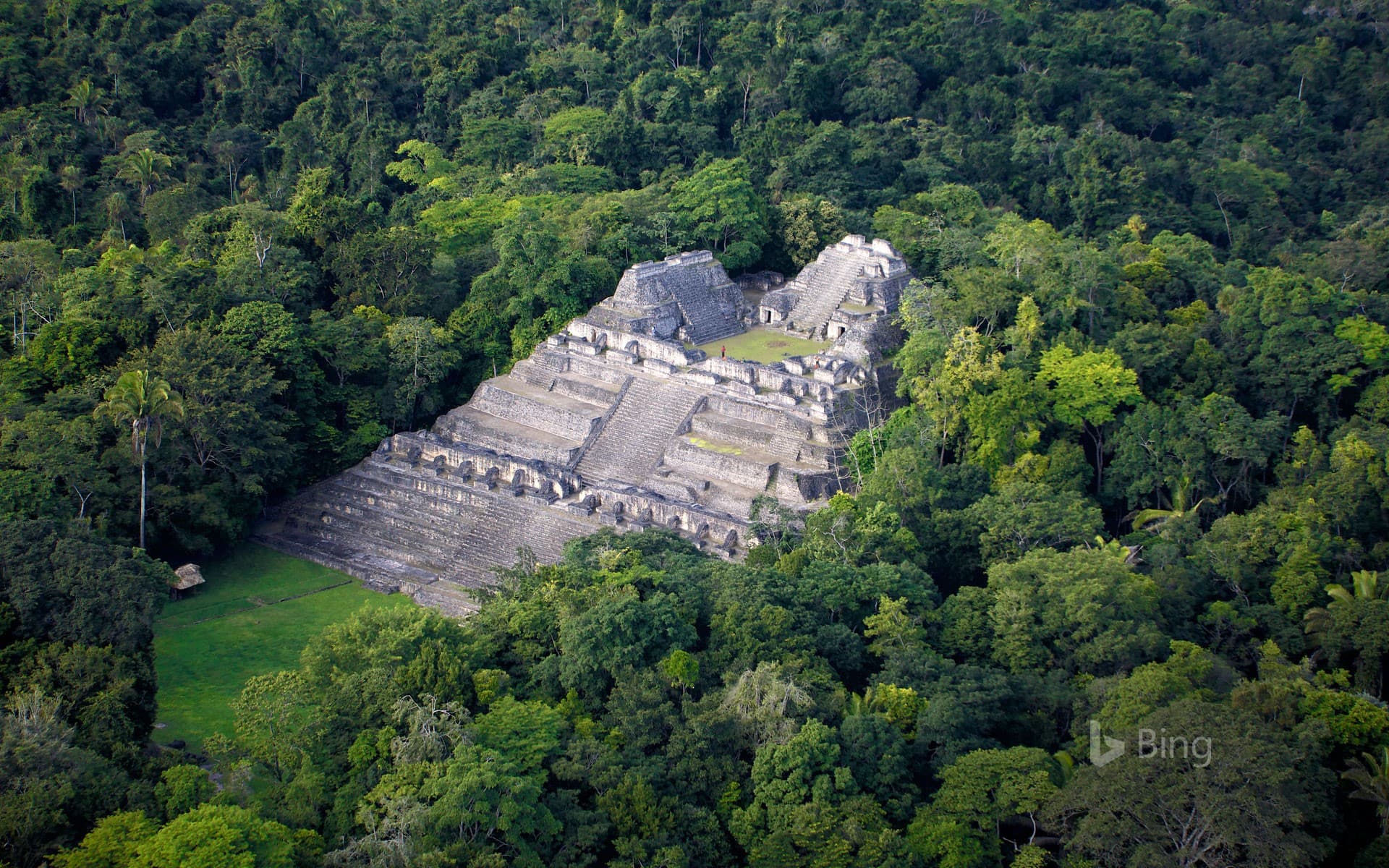 Bing Wallpaper: Maya archaeological site of Caracol, Belize