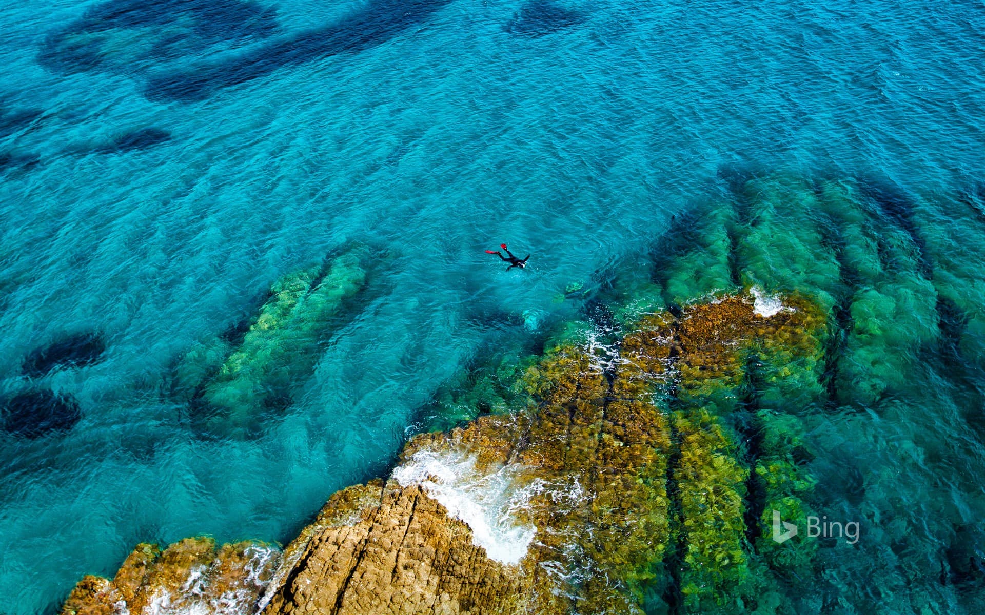 Bing Wallpaper: A snorkeller in the Mediterranean Sea at Cabo de Gata-Níjar Natural Park in Spain