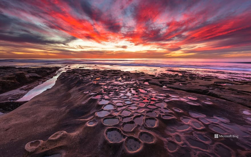 Tide pools in La Jolla, California, United States