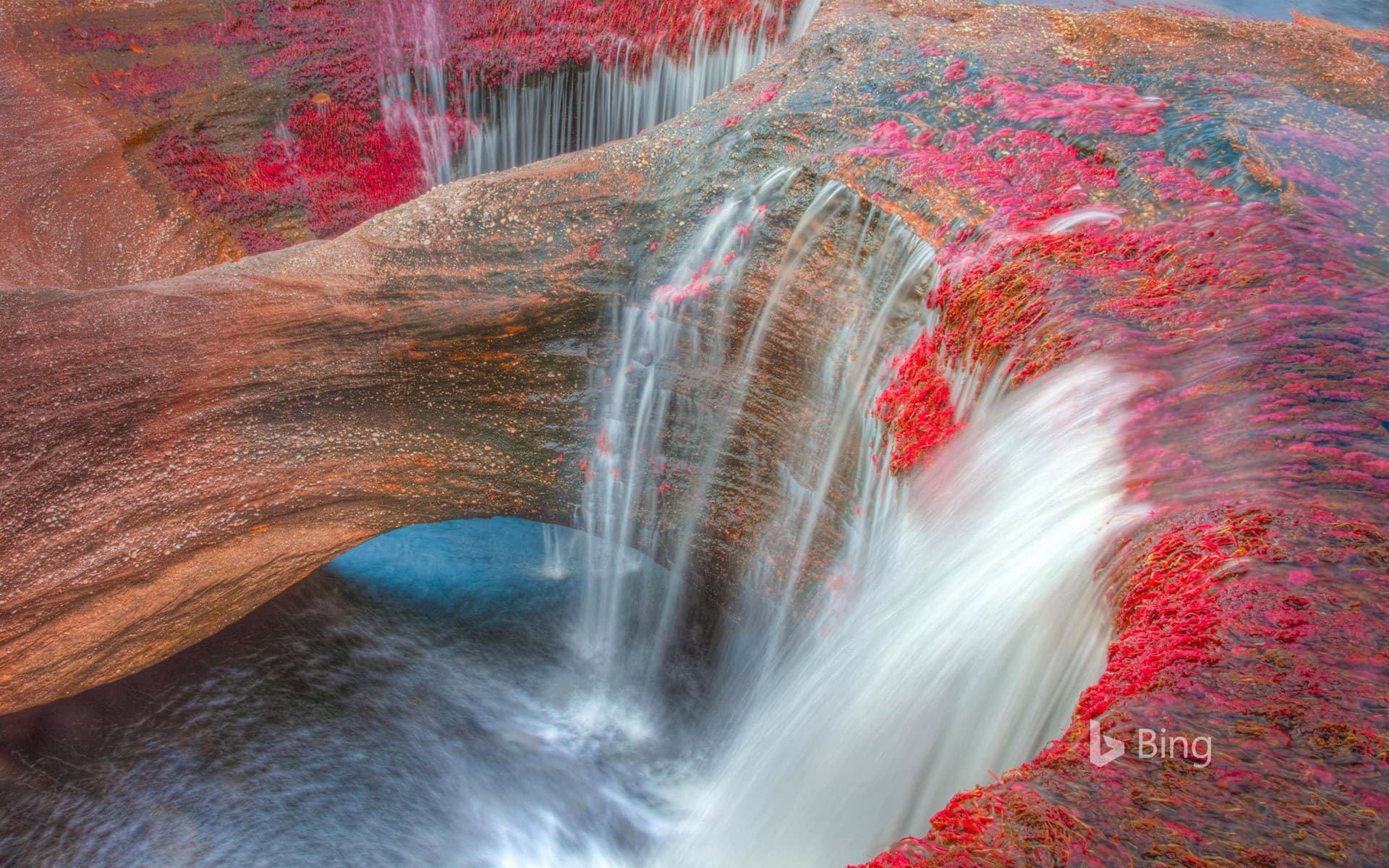 Bing Wallpaper: The Caño Cristales River in the Serranía de la Macarena mountains of Colombia