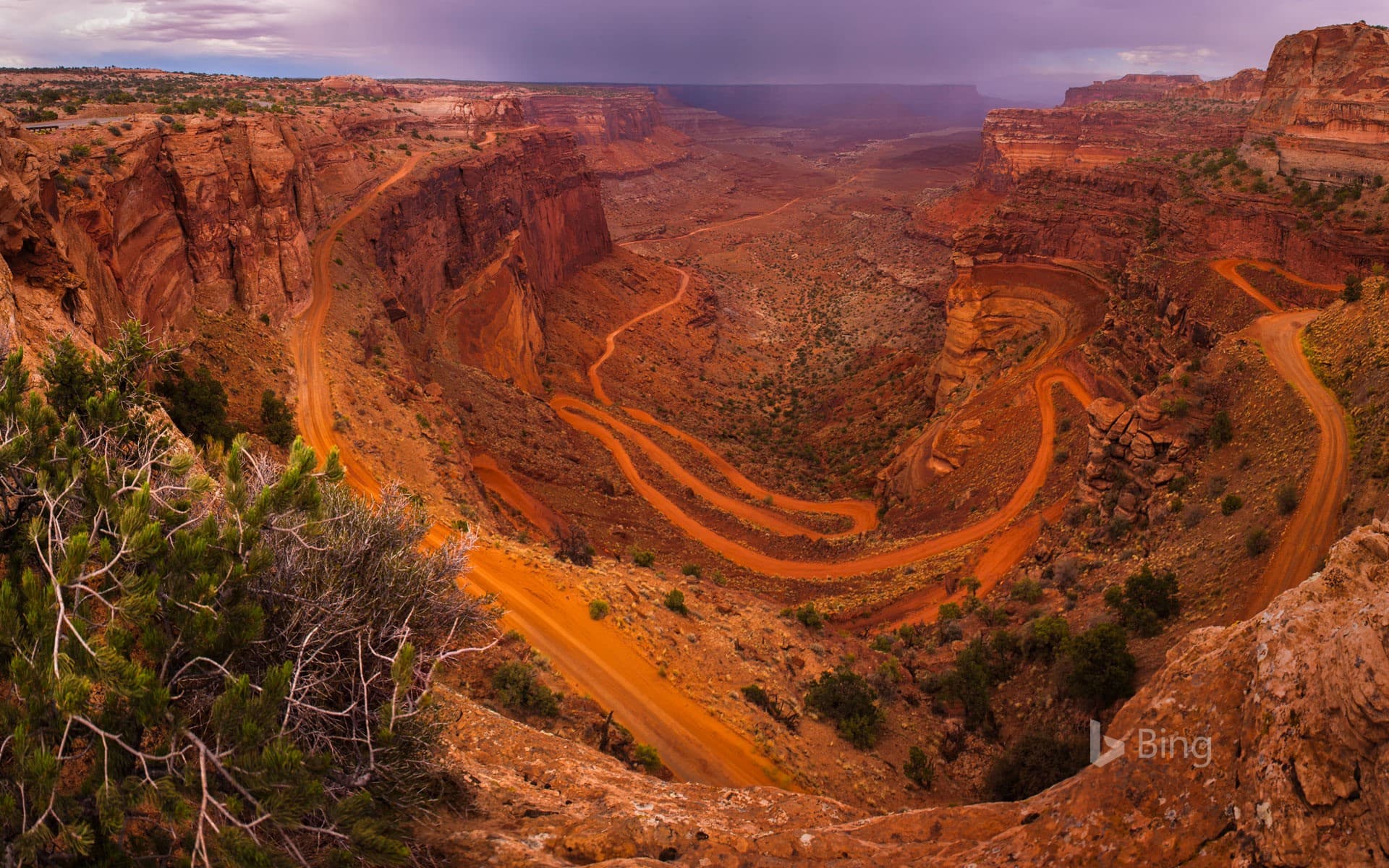 Bing Wallpaper: White Rim Road seen from Island in the Sky in Canyonlands National Park, Utah