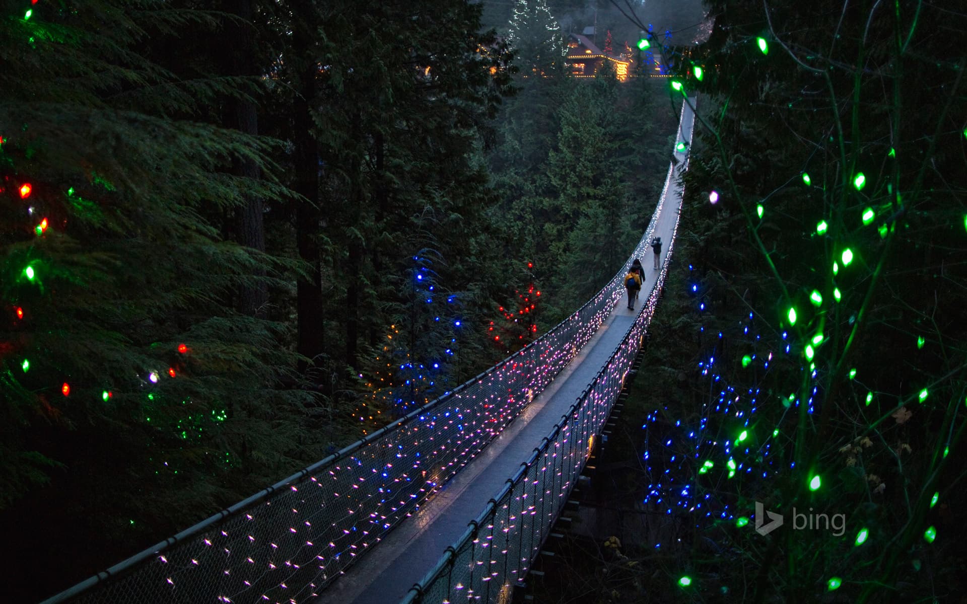 Bing Wallpaper: The Capilano Suspension Bridge in Vancouver, British Columbia, Canada