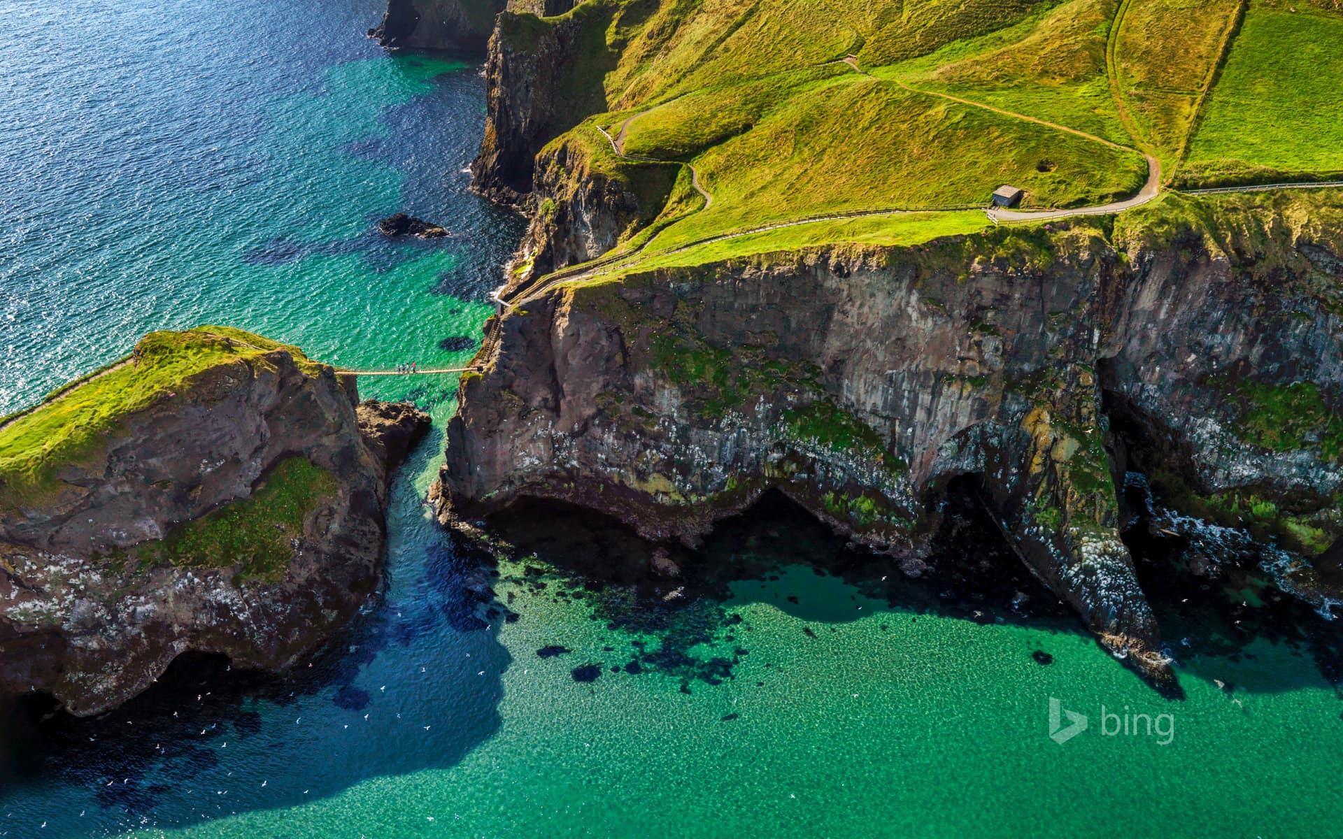 Bing Wallpaper: Carrick-a-Rede rope bridge near Ballintoy, Northern Ireland
