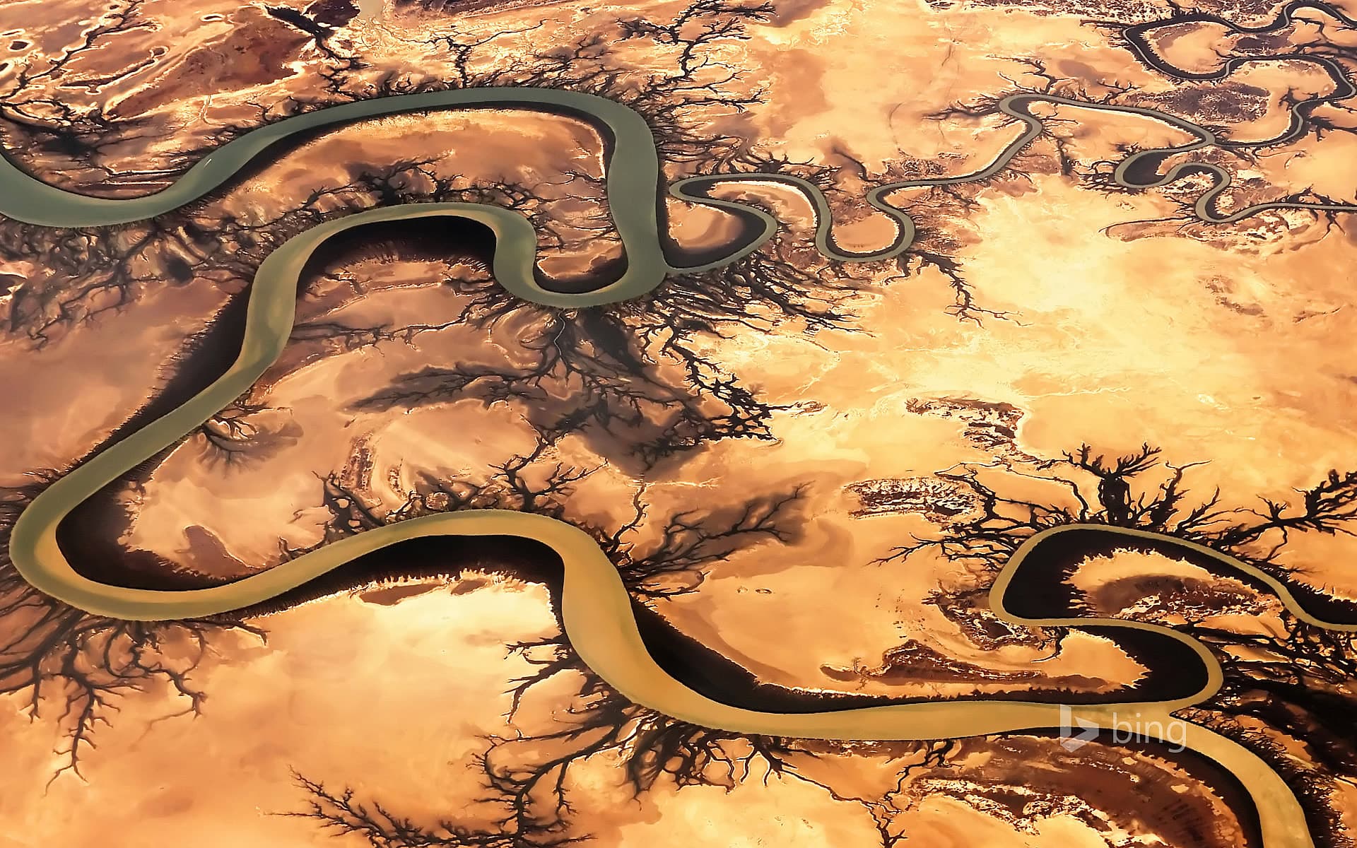 Bing Wallpaper: Carron River in Queensland, Australia