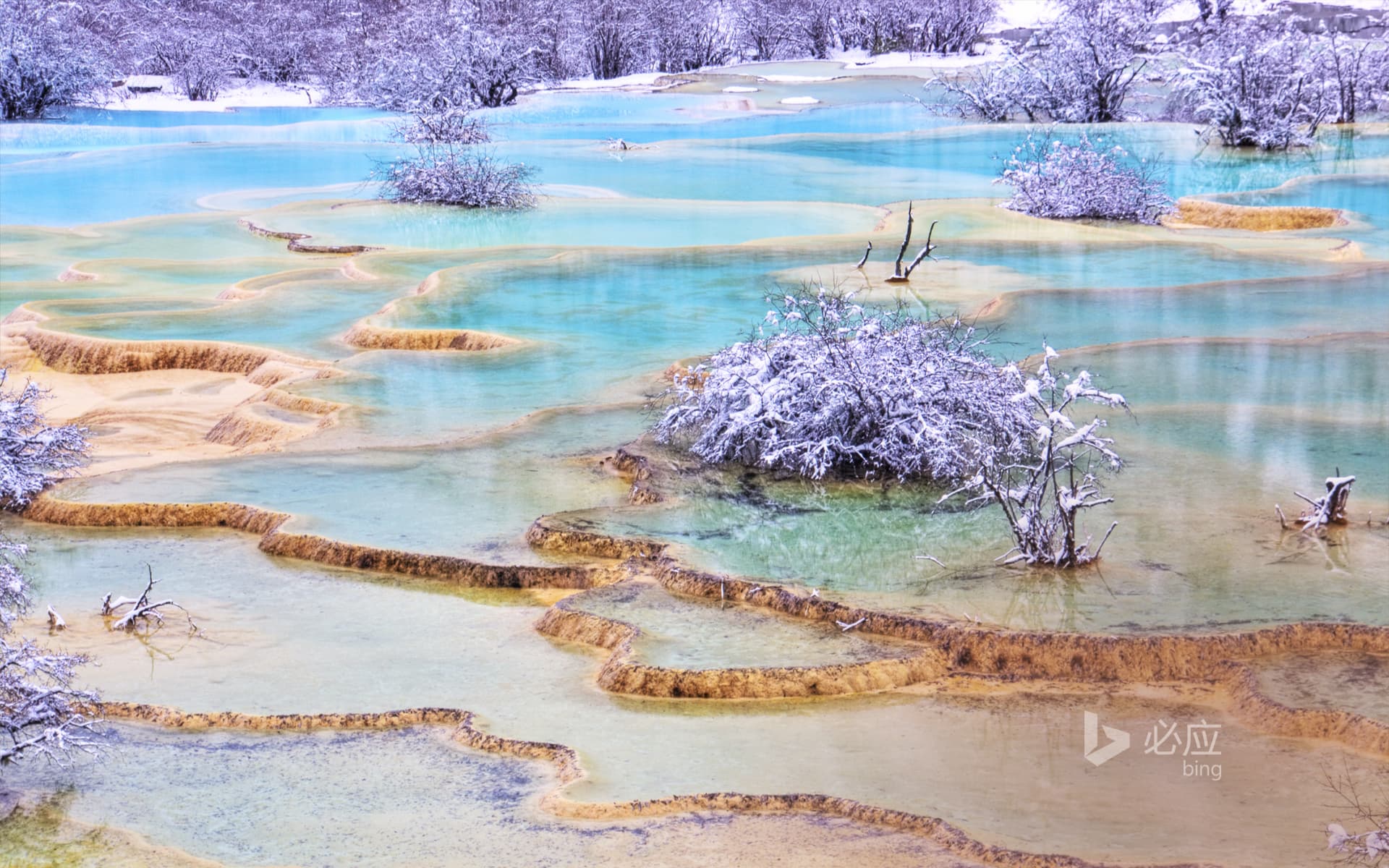Bing Wallpaper: Huanglong Colorful Pool, Sichuan