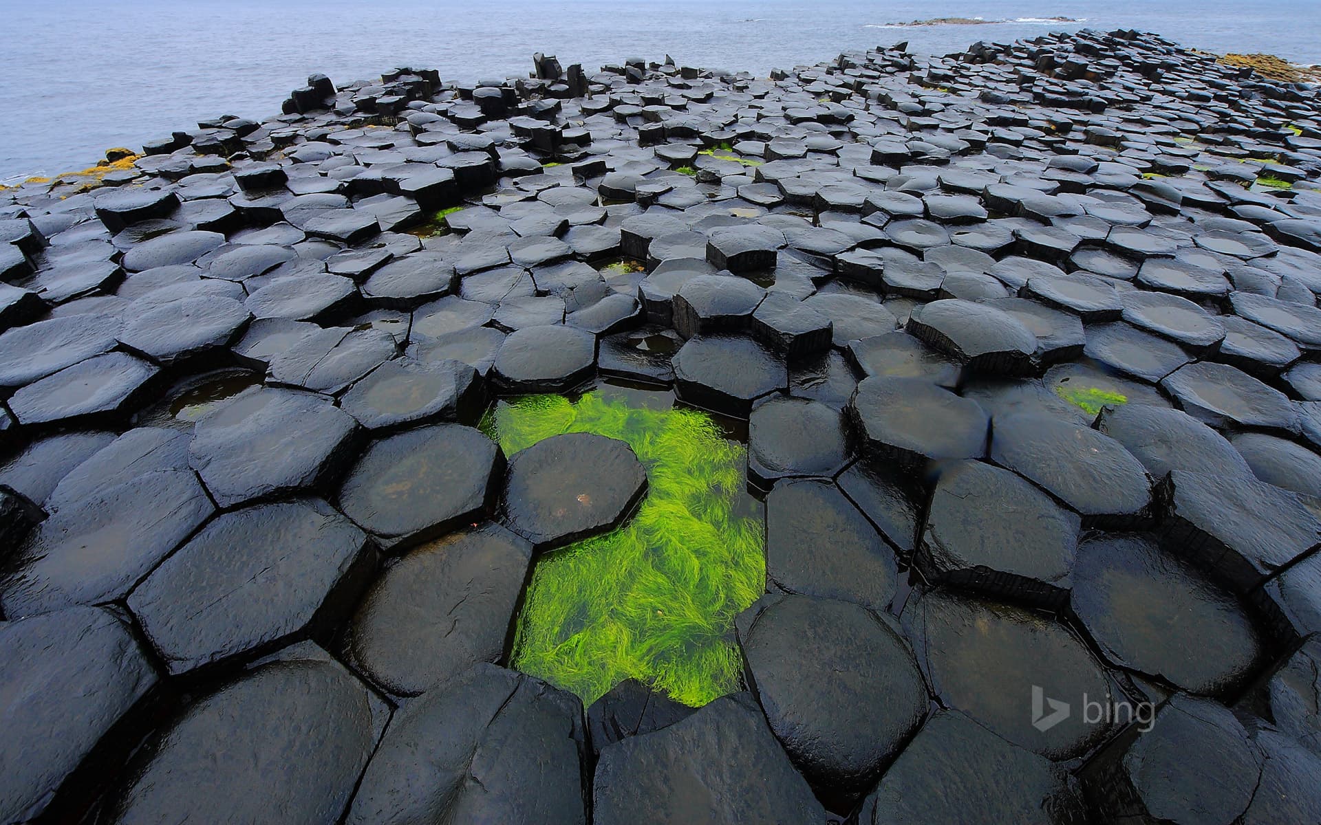 Bing Wallpaper: Giant's Causeway, County Antrim, Northern Ireland, United Kingdom