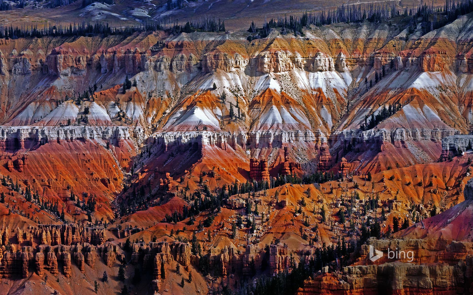 Bing Wallpaper: Cedar Breaks National Monument, Utah, USA