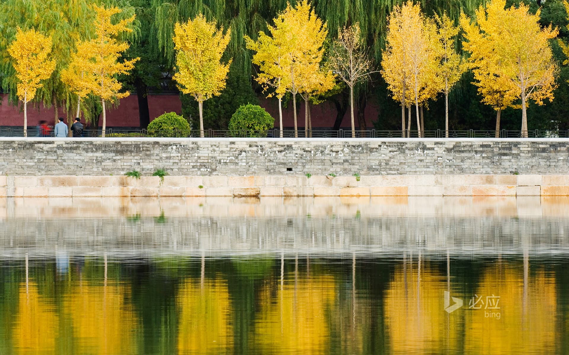 Bing Wallpaper: China, Beijing, autumn reflected in the moat of the Forbidden City