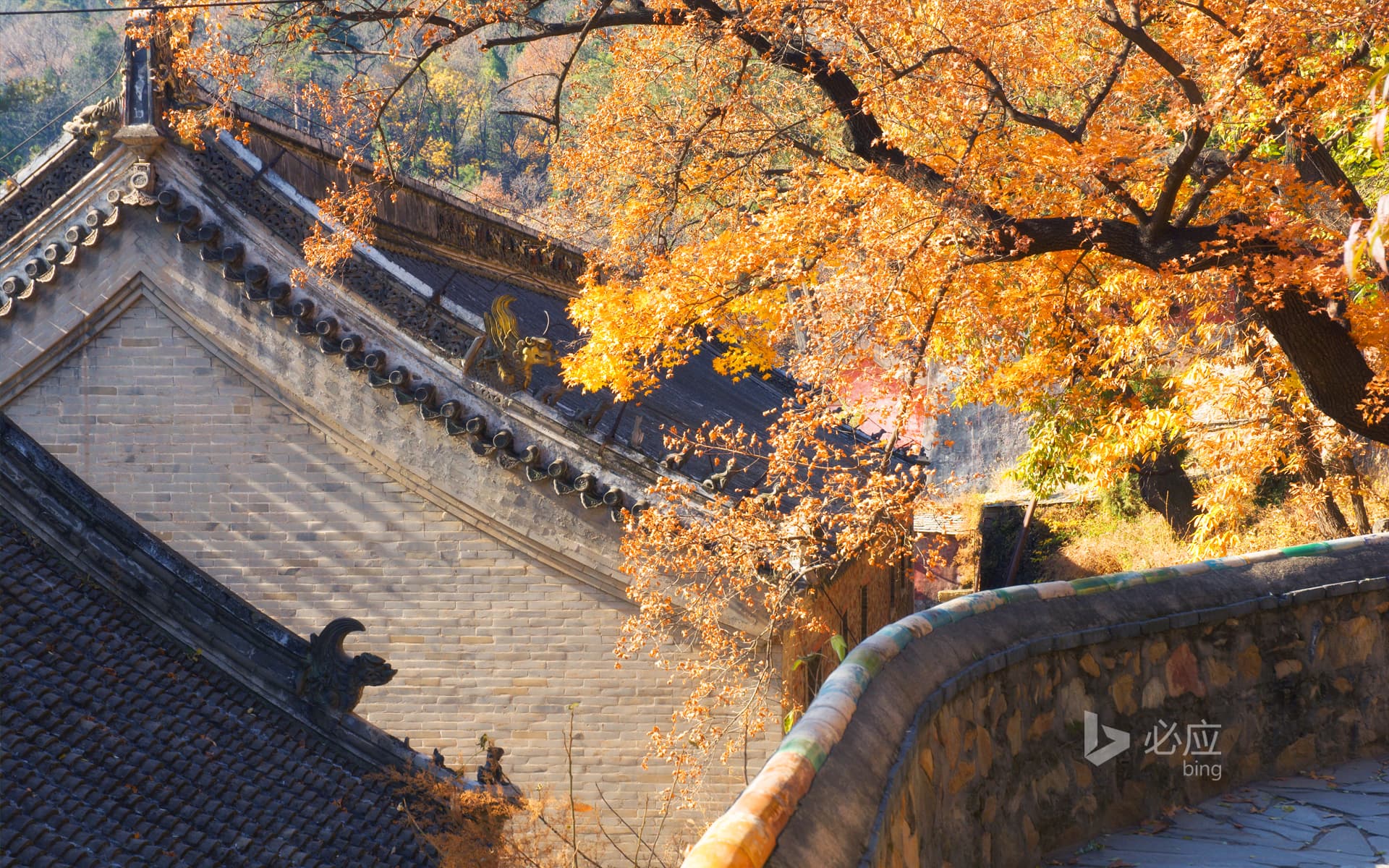 Bing Wallpaper: Beijing Tanzhe Temple Autumn Scenery