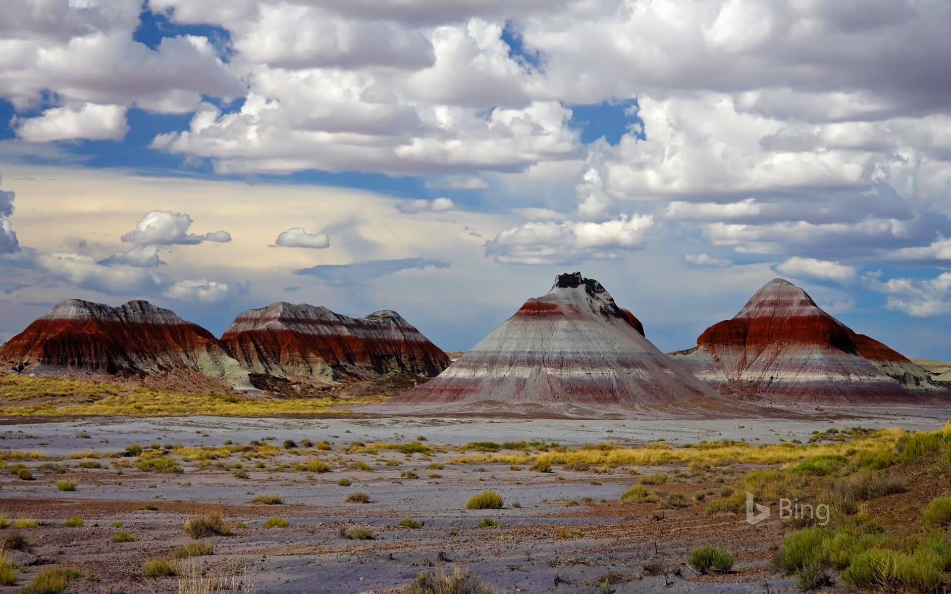 Bing Wallpaper: Tepees area, Petrified Forest National Park, Arizona