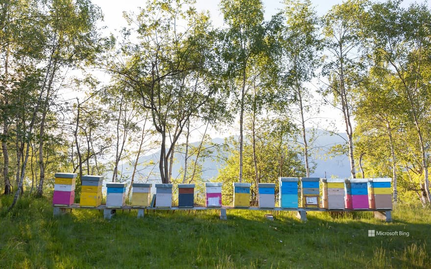 Colorful beehives in Italy