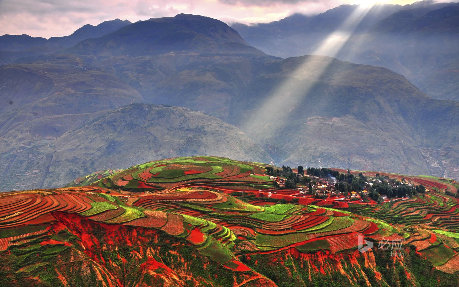 Bing Wallpaper: Colorful terraces in Luoxiagou, Yunnan