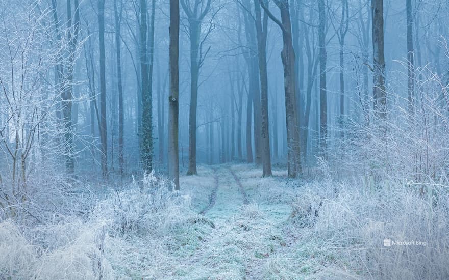 Cranborne Chase, Dorset, England