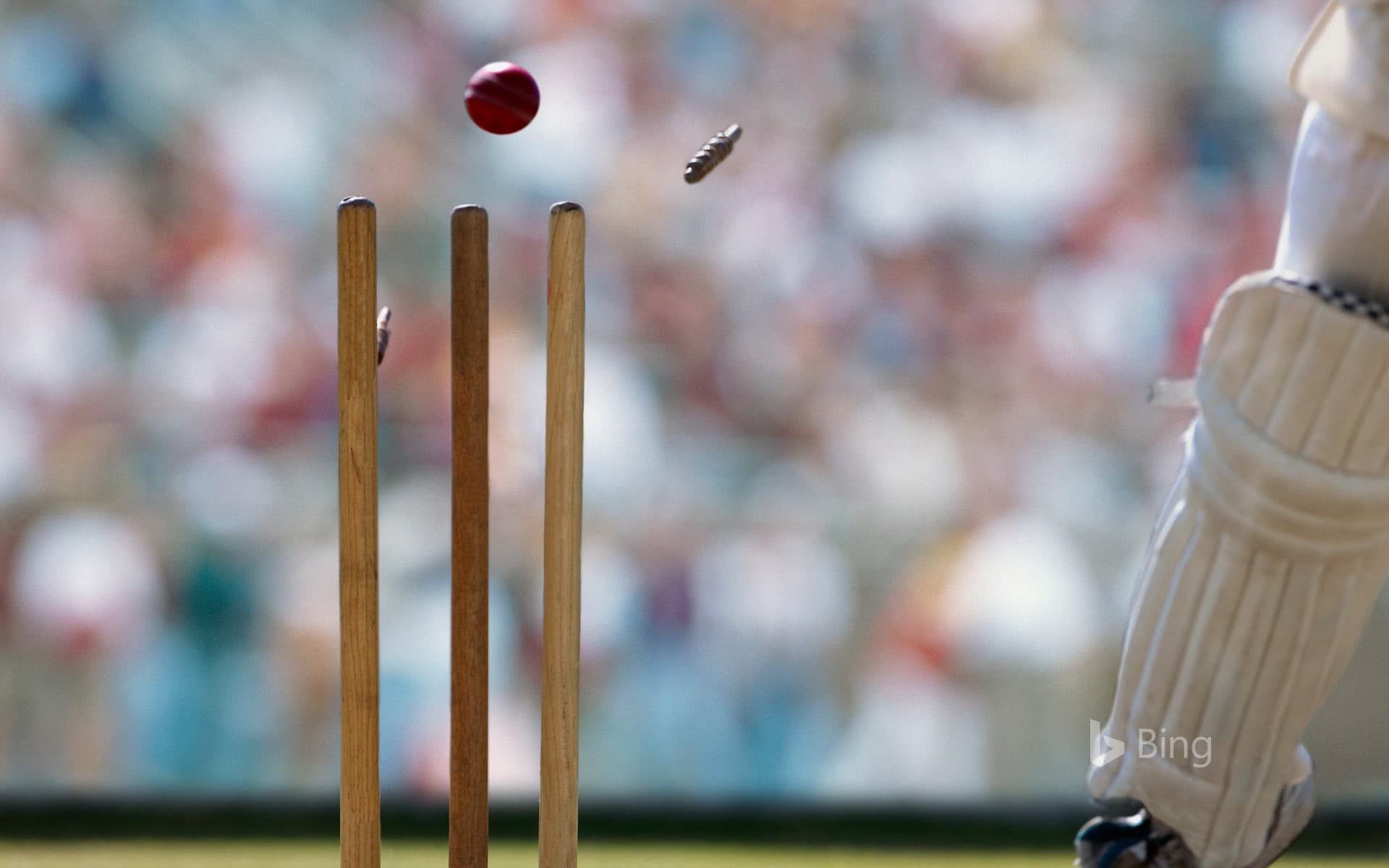 Bing Wallpaper: A cricket ball striking the wicket