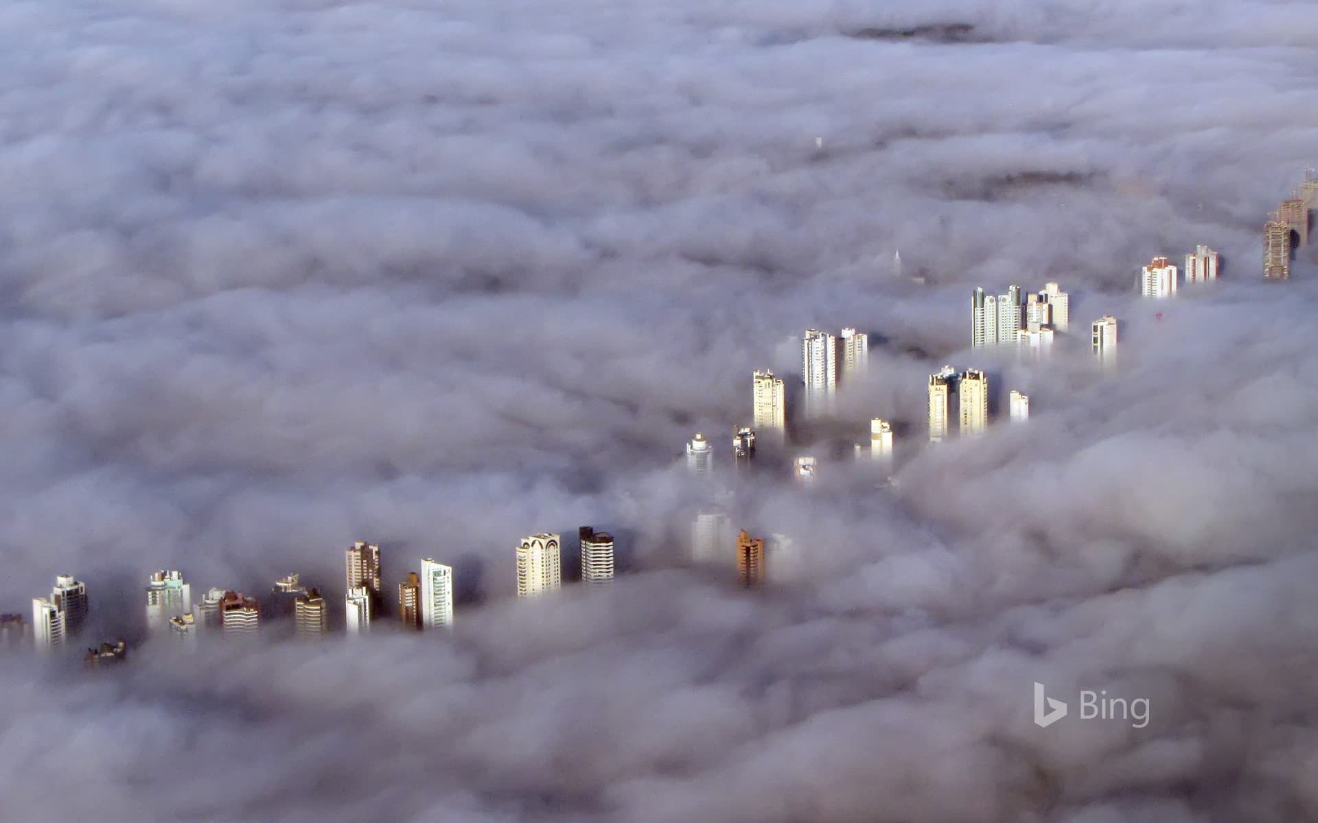 Bing Wallpaper: Aerial view of buildings enveloped by a thick fog in Curitiba, Brazil