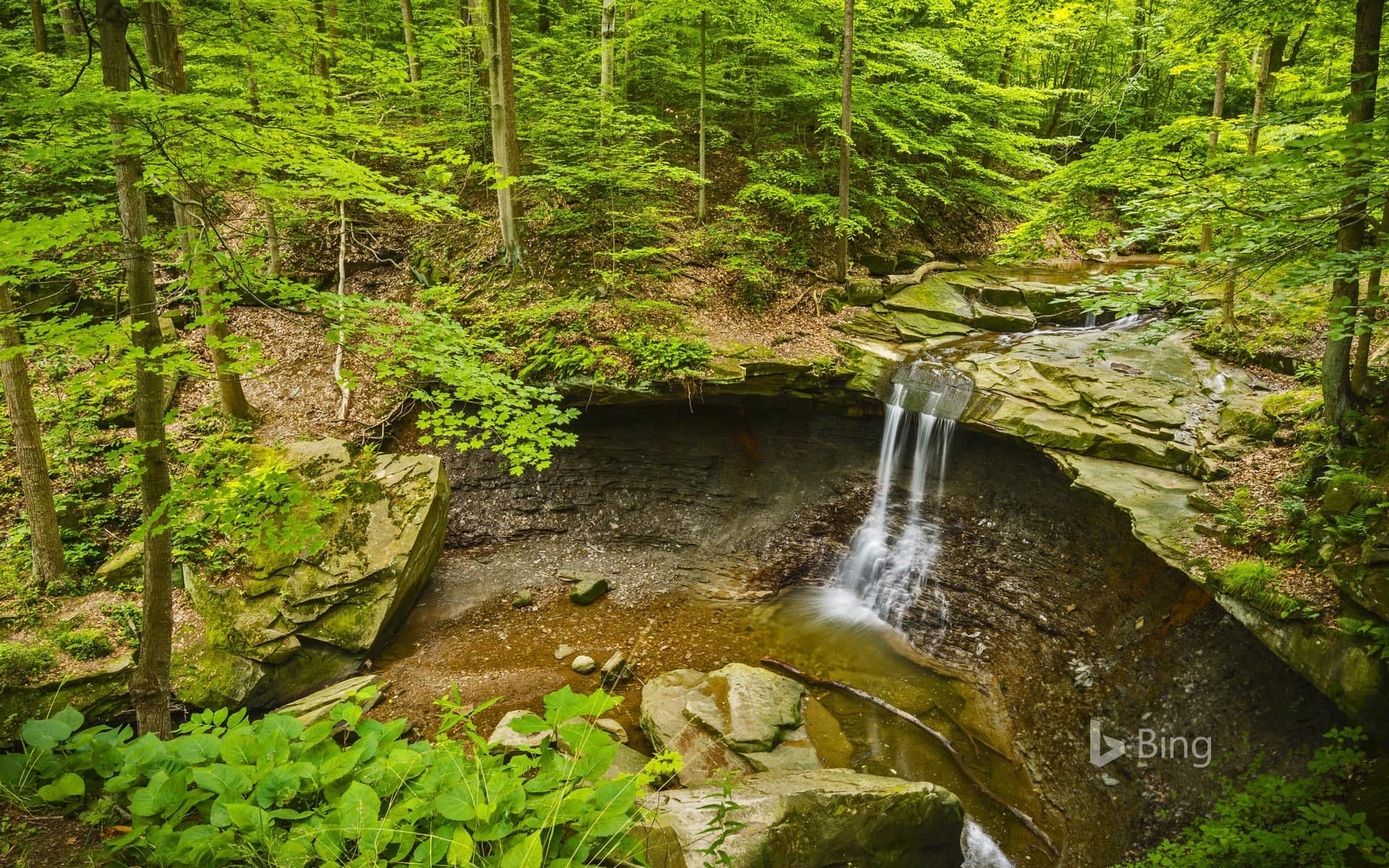 Bing Wallpaper: Blue Hen Falls, Cuyahoga Valley National Park, Ohio