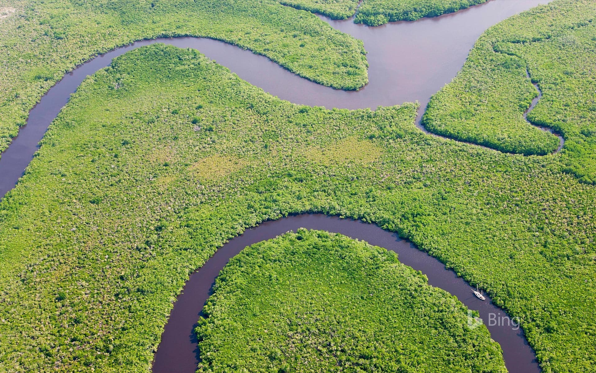 Bing Wallpaper: Aerial view of Daintree River and rainforest, Australia
