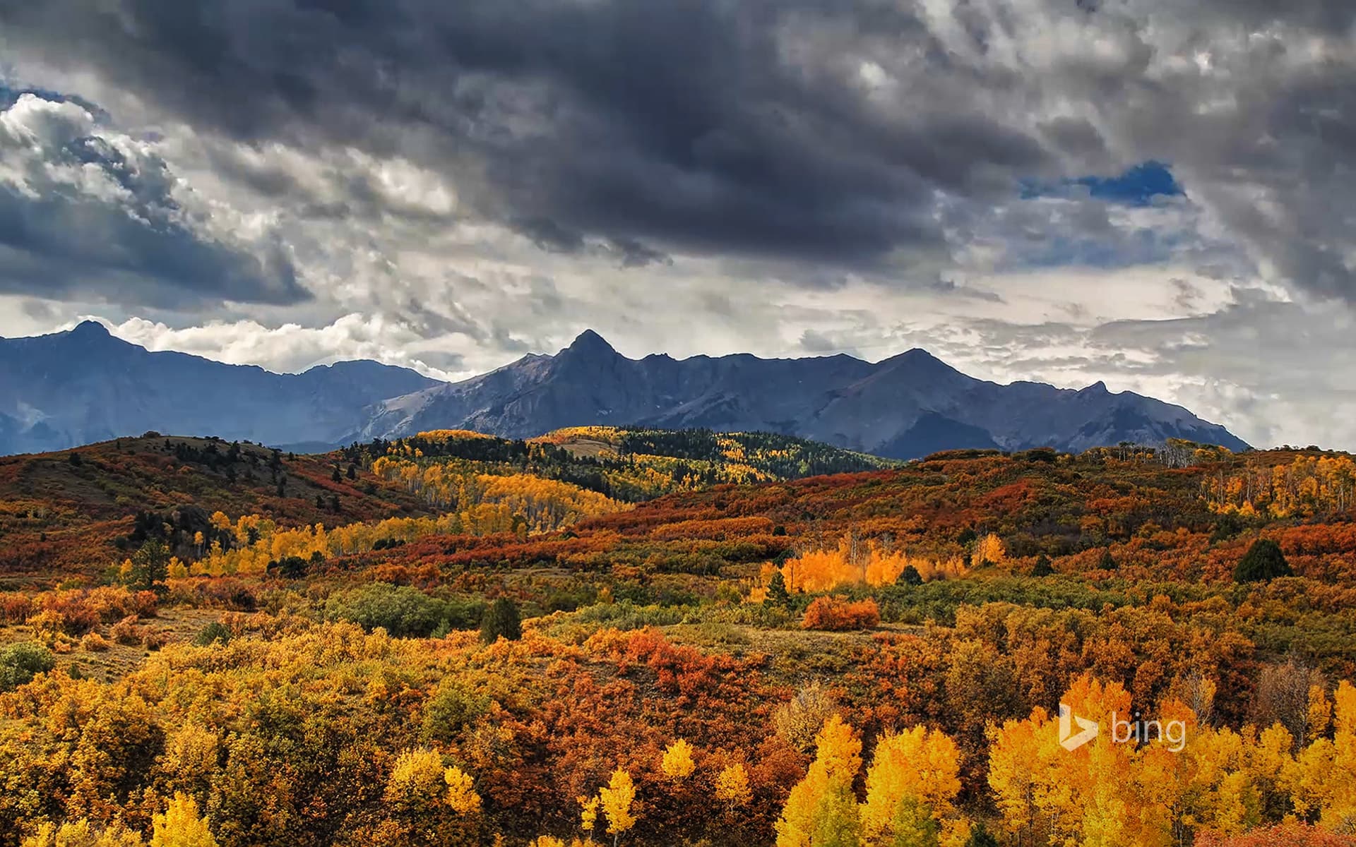 Bing Wallpaper: Dallas Divide near Ridgway, Colorado
