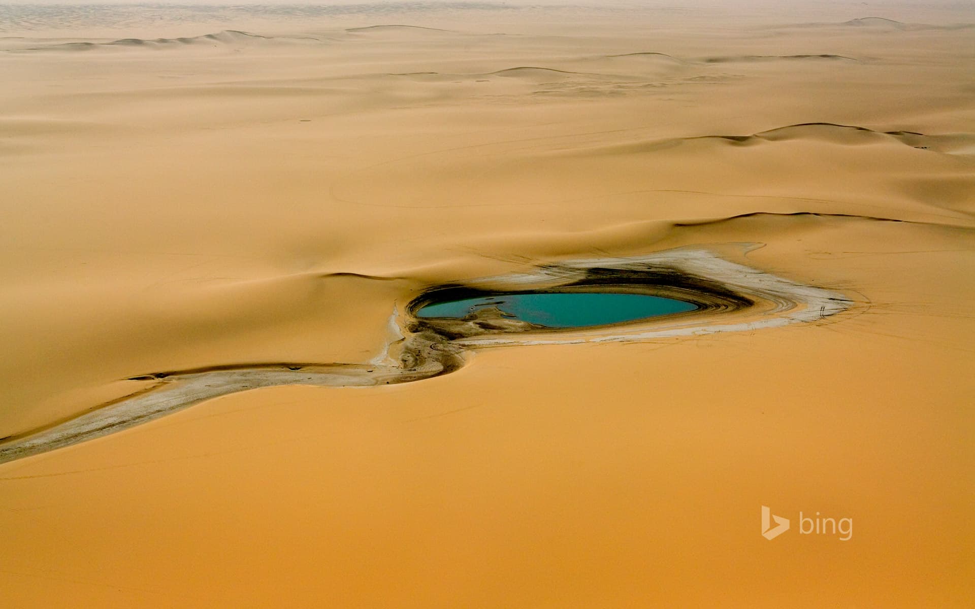 Bing Wallpaper: Accumulation of rainwater in the Sahara Desert, east of the Aïr Mountains, Niger