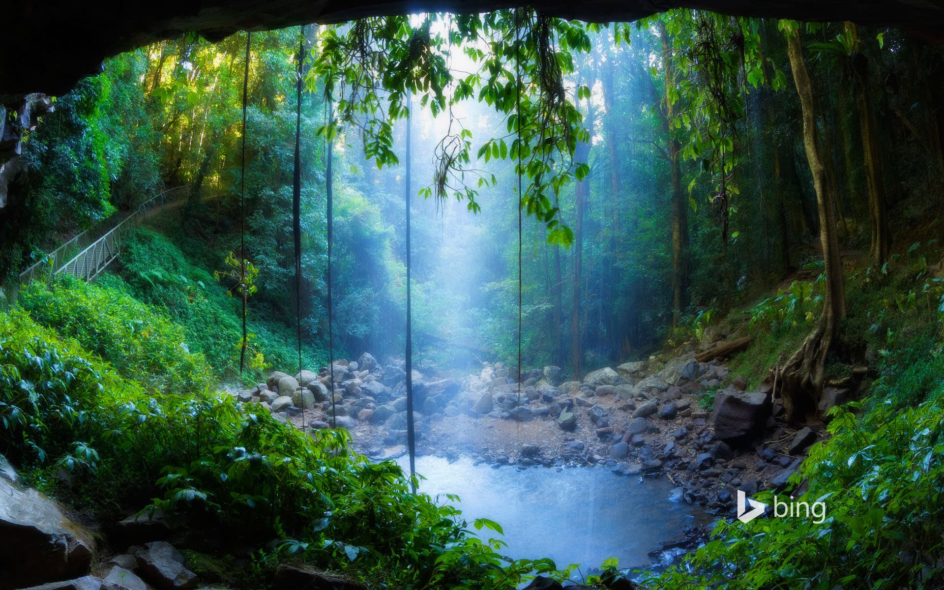 Bing Wallpaper: Crystal Shower Falls, Dorrigo National Park, New South Wales, Australia