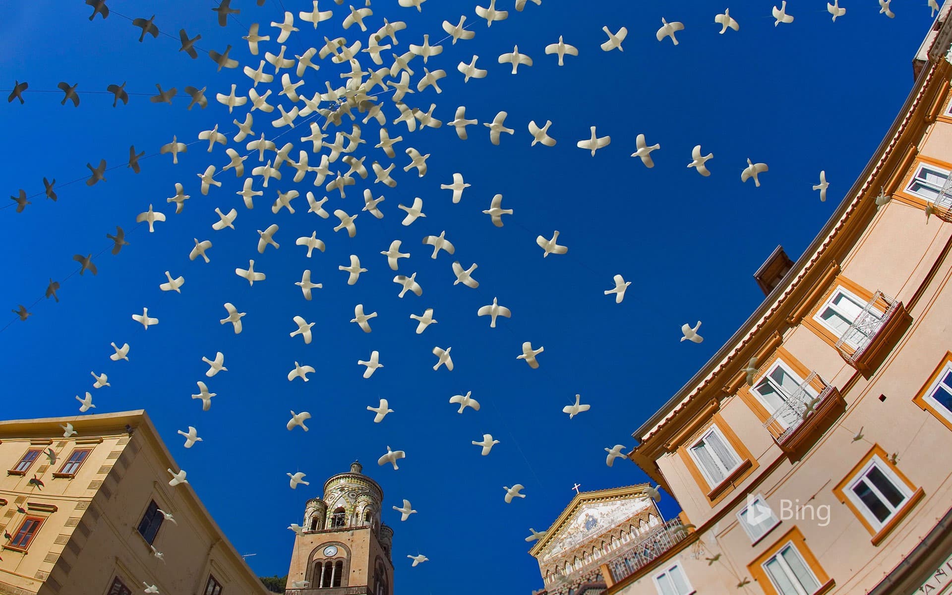Bing Wallpaper: Dove art installation above the Piazza del Duomo in Amalfi, Italy