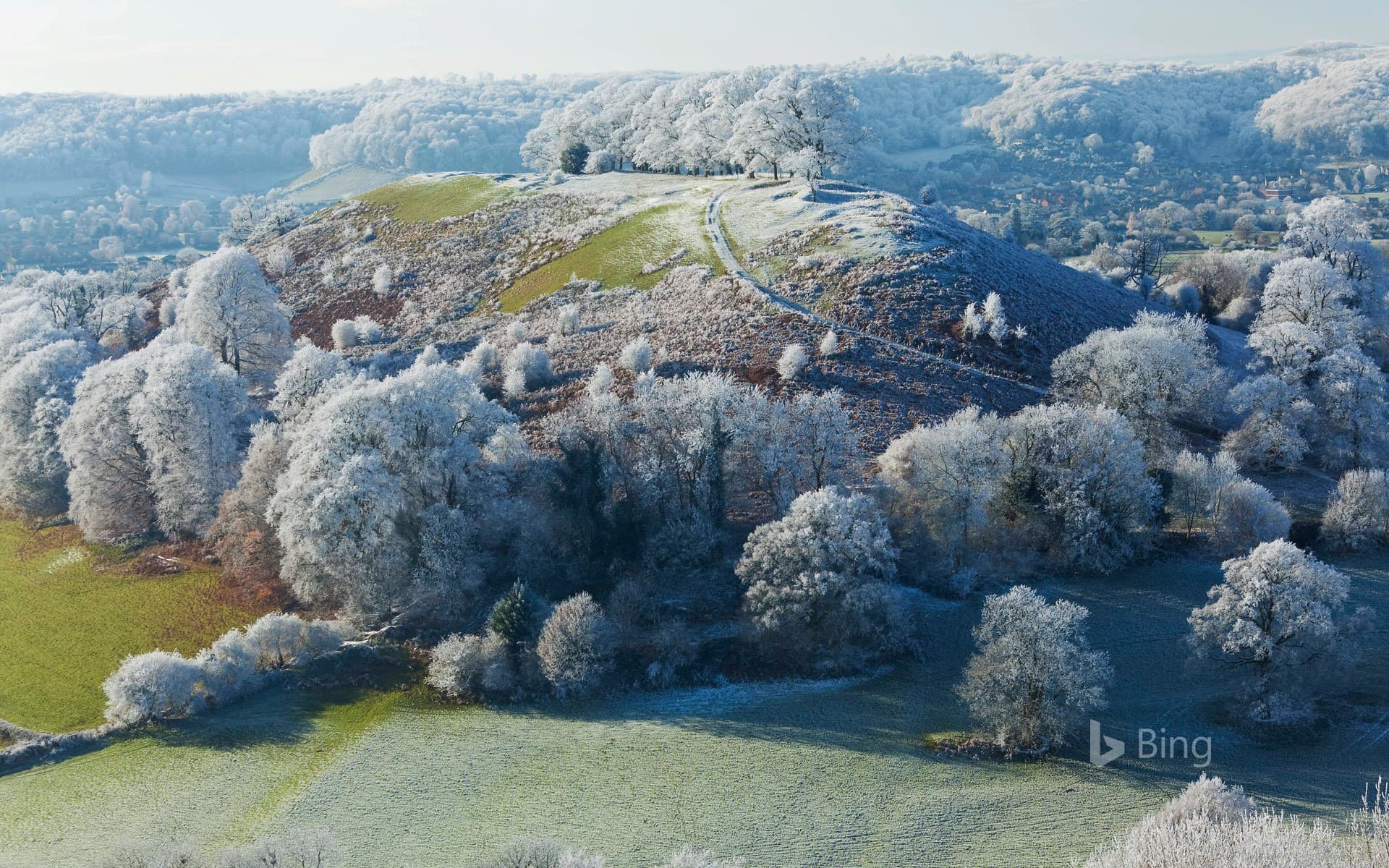 Bing Wallpaper: Hoar frost on Downham Hill near Uley, Gloucestershire